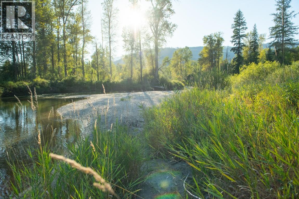 5704 Trans Canada Highway, Malakwa, British Columbia  V0E 2J0 - Photo 33 - 10385110
