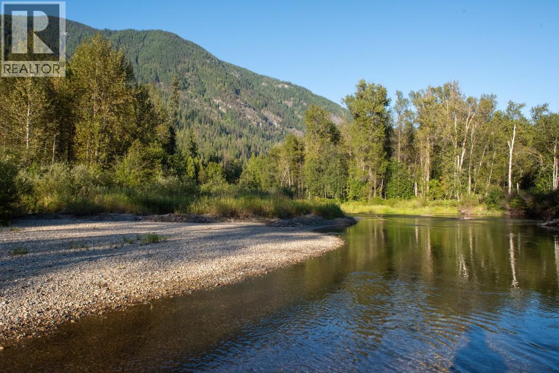 5704 Trans Canada Highway, Malakwa, British Columbia  V0E 2J0 - Photo 35 - 10385110