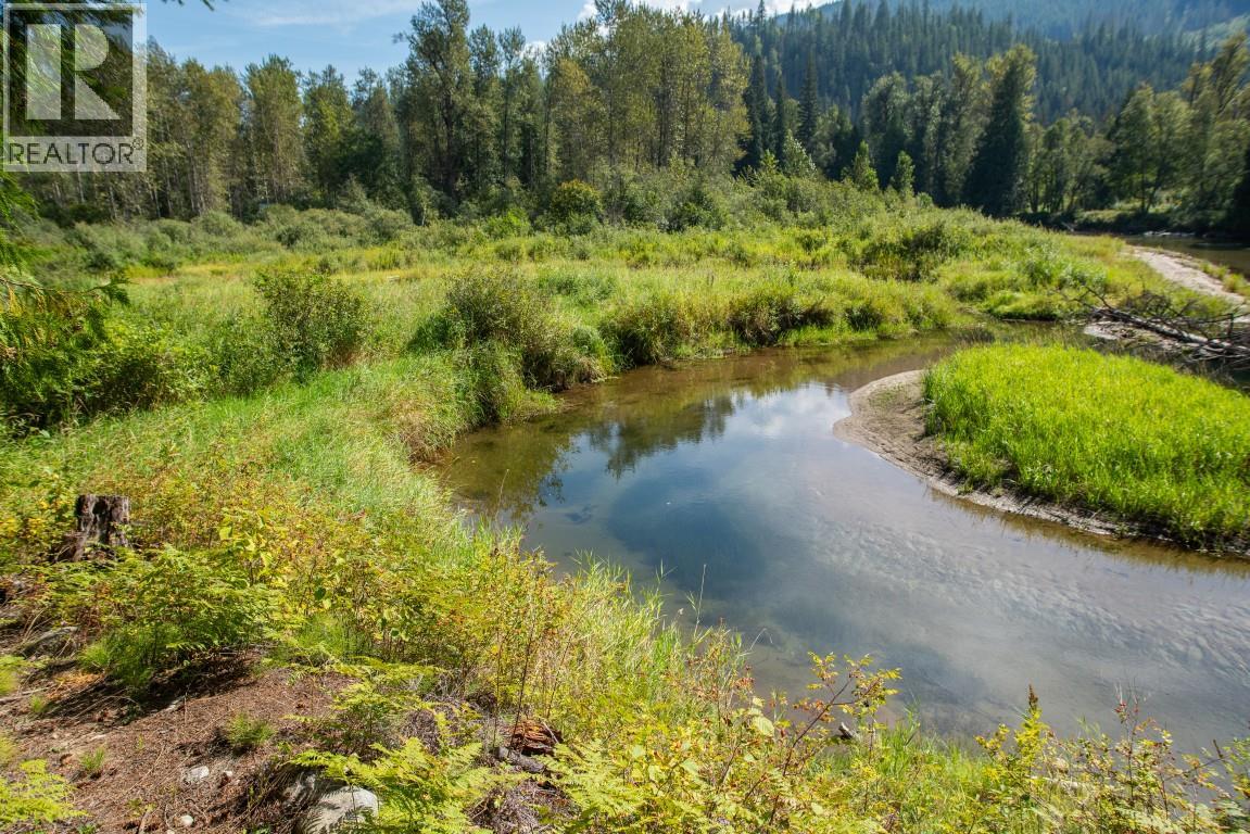 5704 Trans Canada Highway, Malakwa, British Columbia  V0E 2J0 - Photo 36 - 10385110
