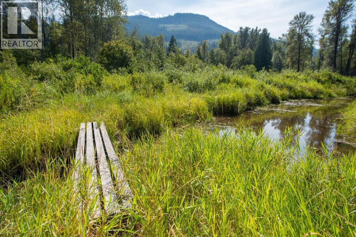 5704 Trans Canada Highway, Malakwa, British Columbia  V0E 2J0 - Photo 37 - 10385110