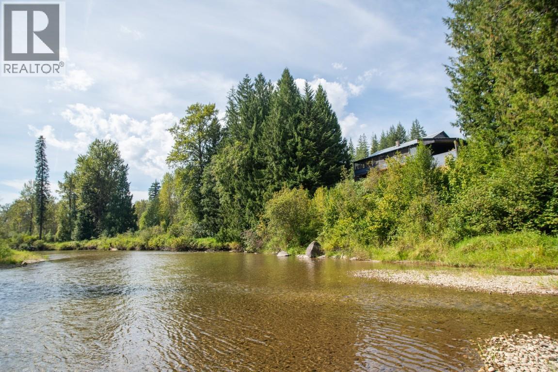 5704 Trans Canada Highway, Malakwa, British Columbia  V0E 2J0 - Photo 4 - 10385110