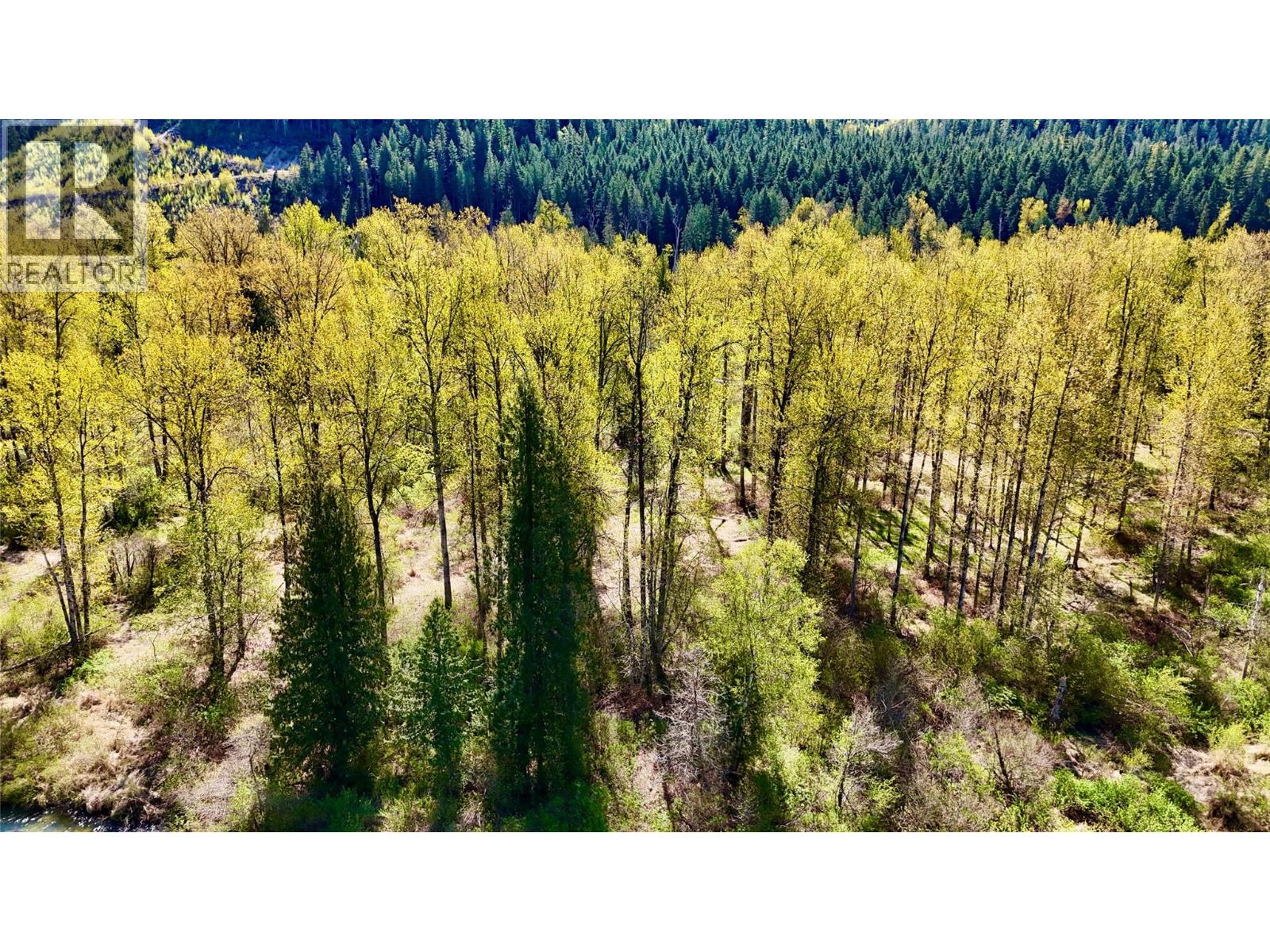 5704 Trans Canada Highway, Malakwa, British Columbia  V0E 2J0 - Photo 43 - 10385110