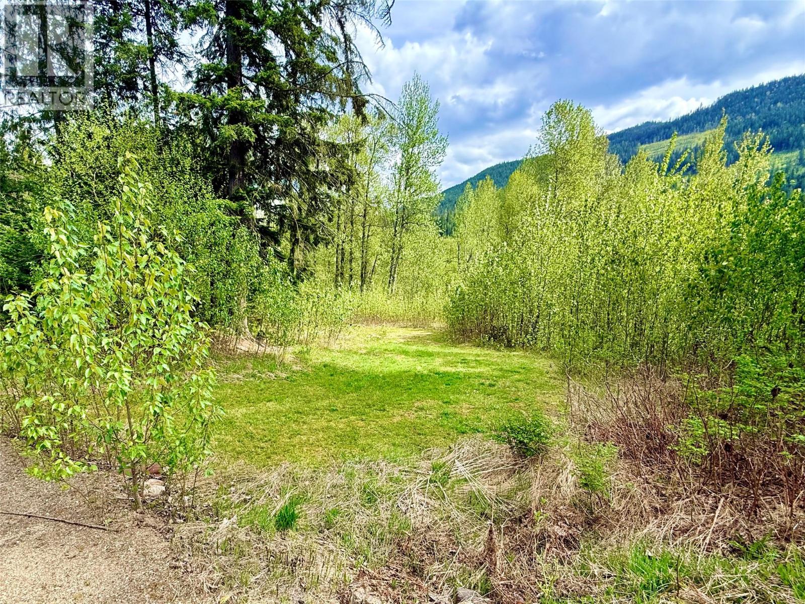 5704 Trans Canada Highway, Malakwa, British Columbia  V0E 2J0 - Photo 44 - 10385110