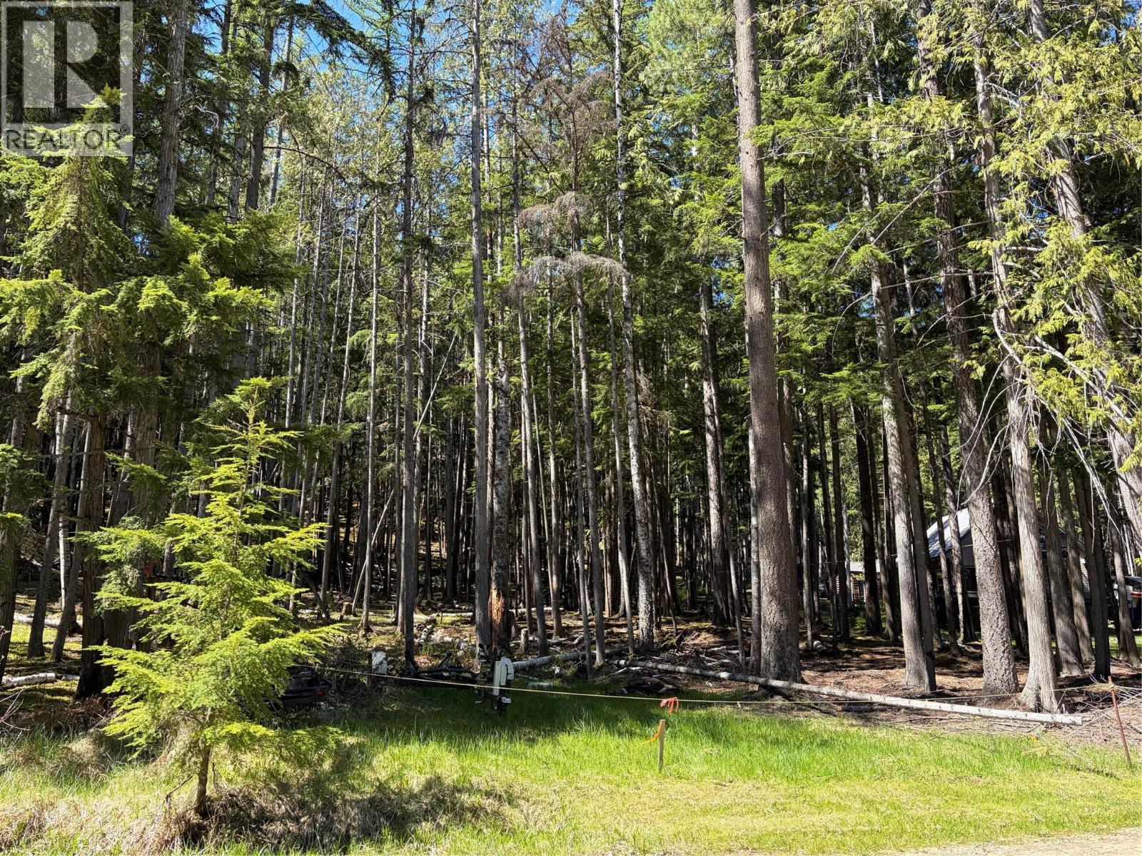106 Mabel Lake Subdivision Road, Mabel Lake, British Columbia  V0E 1V5 - Photo 14 - 10385643
