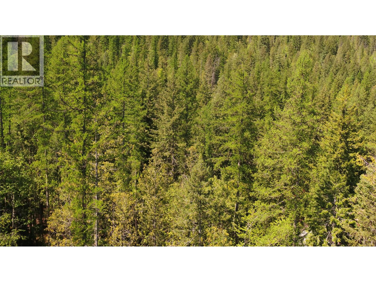 106 Mabel Lake Subdivision Road, Mabel Lake, British Columbia  V0E 1V5 - Photo 16 - 10385643