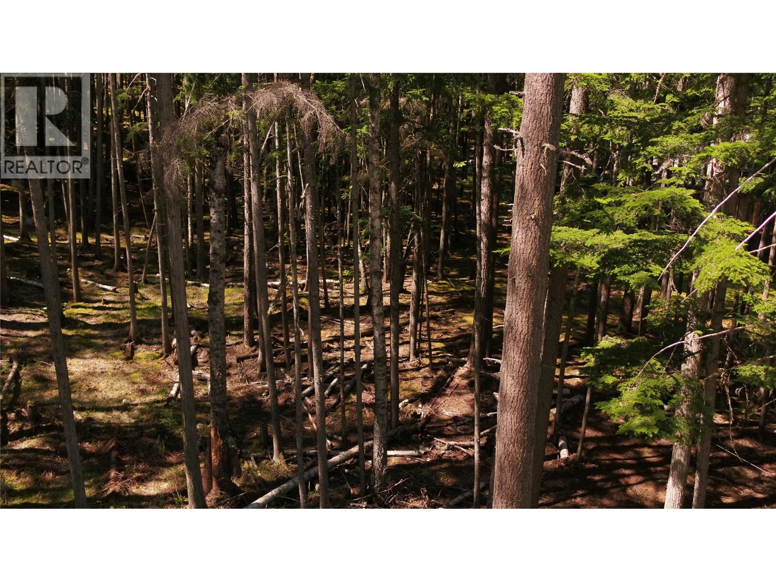 106 Mabel Lake Subdivision Road, Mabel Lake, British Columbia  V0E 1V5 - Photo 6 - 10385643