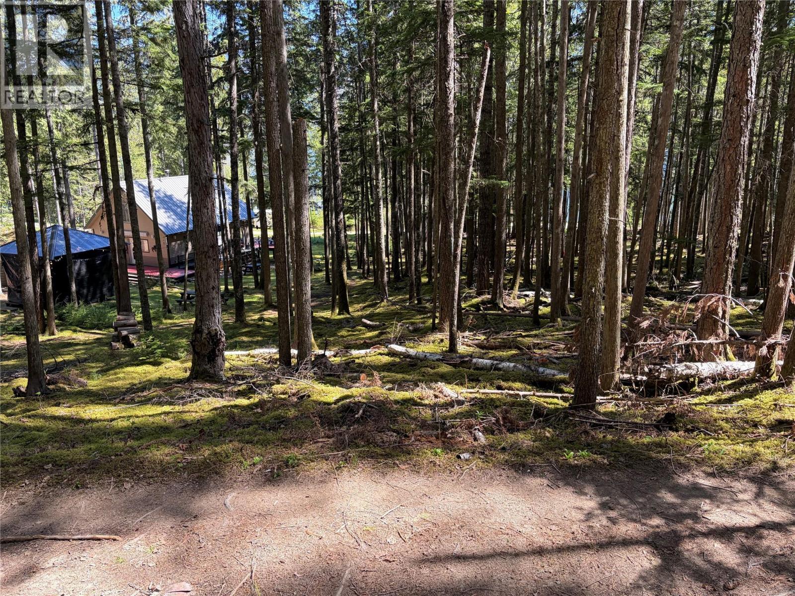 106 Mabel Lake Subdivision Road, Mabel Lake, British Columbia  V0E 1V5 - Photo 8 - 10385643