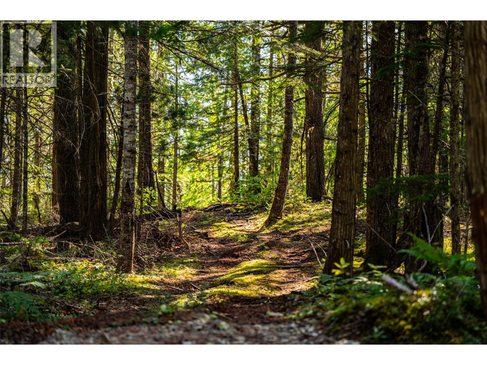 1750 Highway 23 South Highway S, Revelstoke, British Columbia  V0E 2S0 - Photo 15 - 10385651