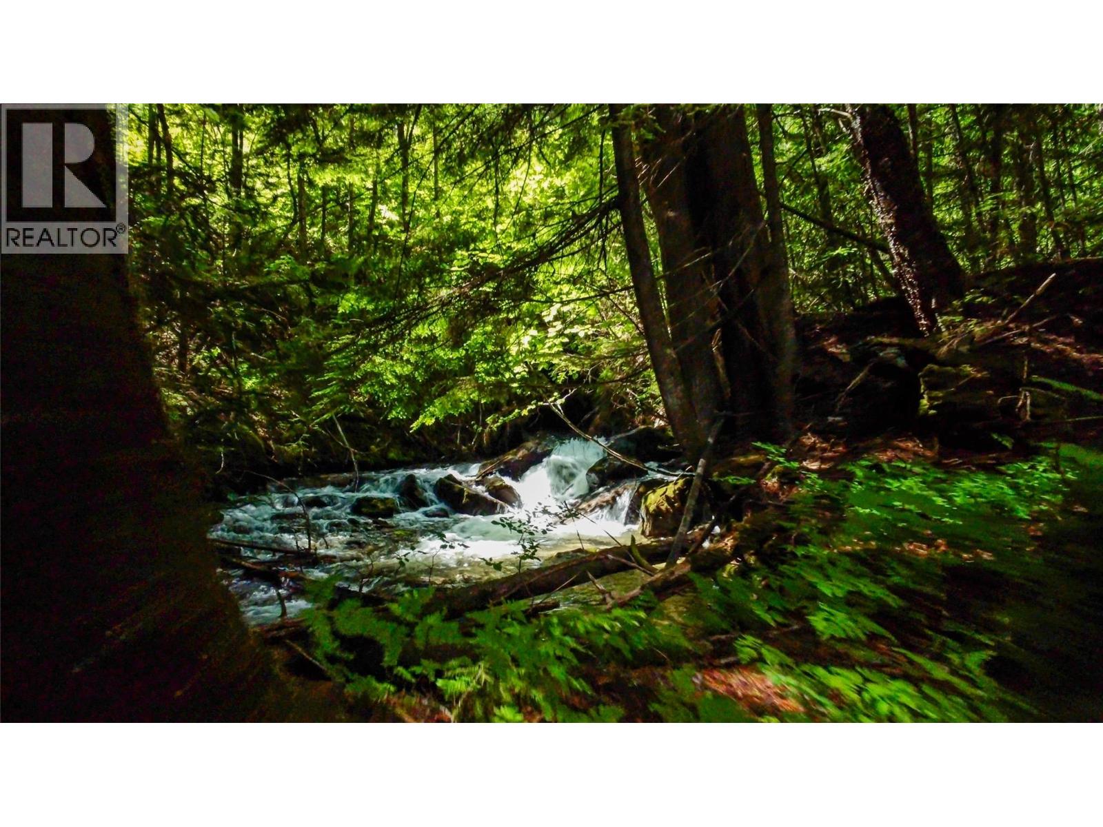 1750 Highway 23 South Highway S, Revelstoke, British Columbia  V0E 2S0 - Photo 4 - 10385651