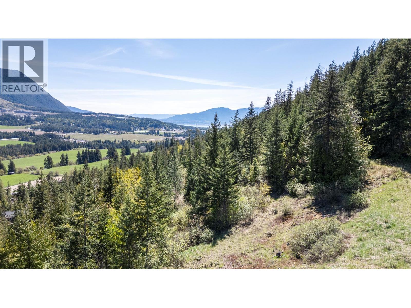 Planned Lot 2 Tappen Notch Hill Road, Tappen, British Columbia  V0E 2X3 - Photo 5 - 10382250