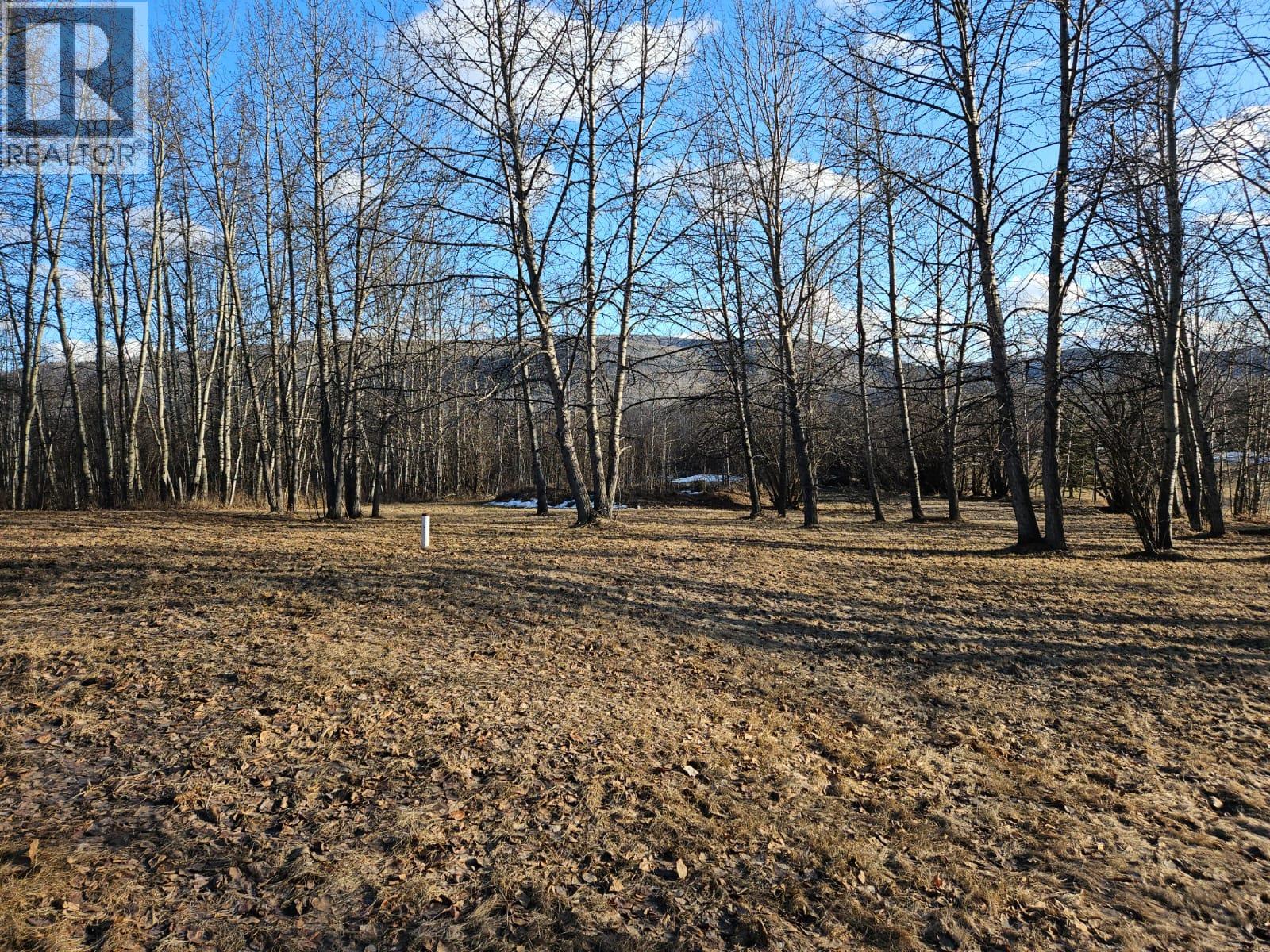 6327 Wildmare Sub, Chetwynd, British Columbia  V0C 1J0 - Photo 35 - 10385700