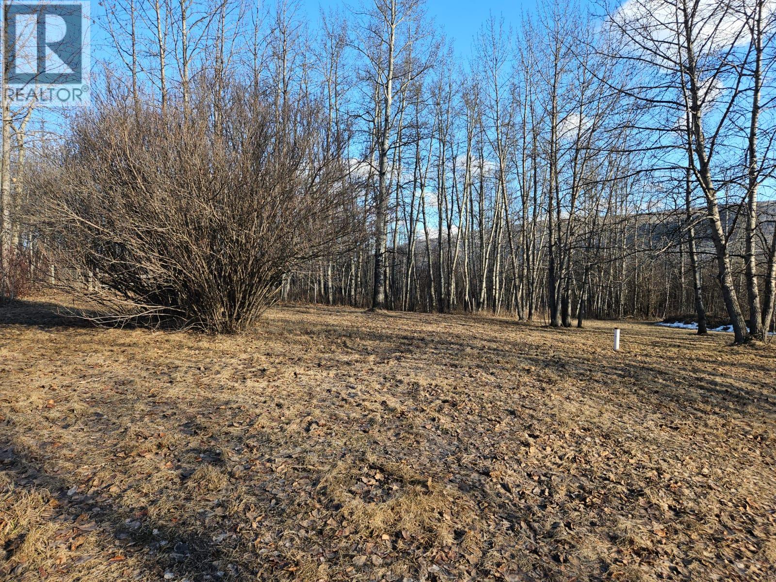 6327 Wildmare Sub, Chetwynd, British Columbia  V0C 1J0 - Photo 37 - 10385700