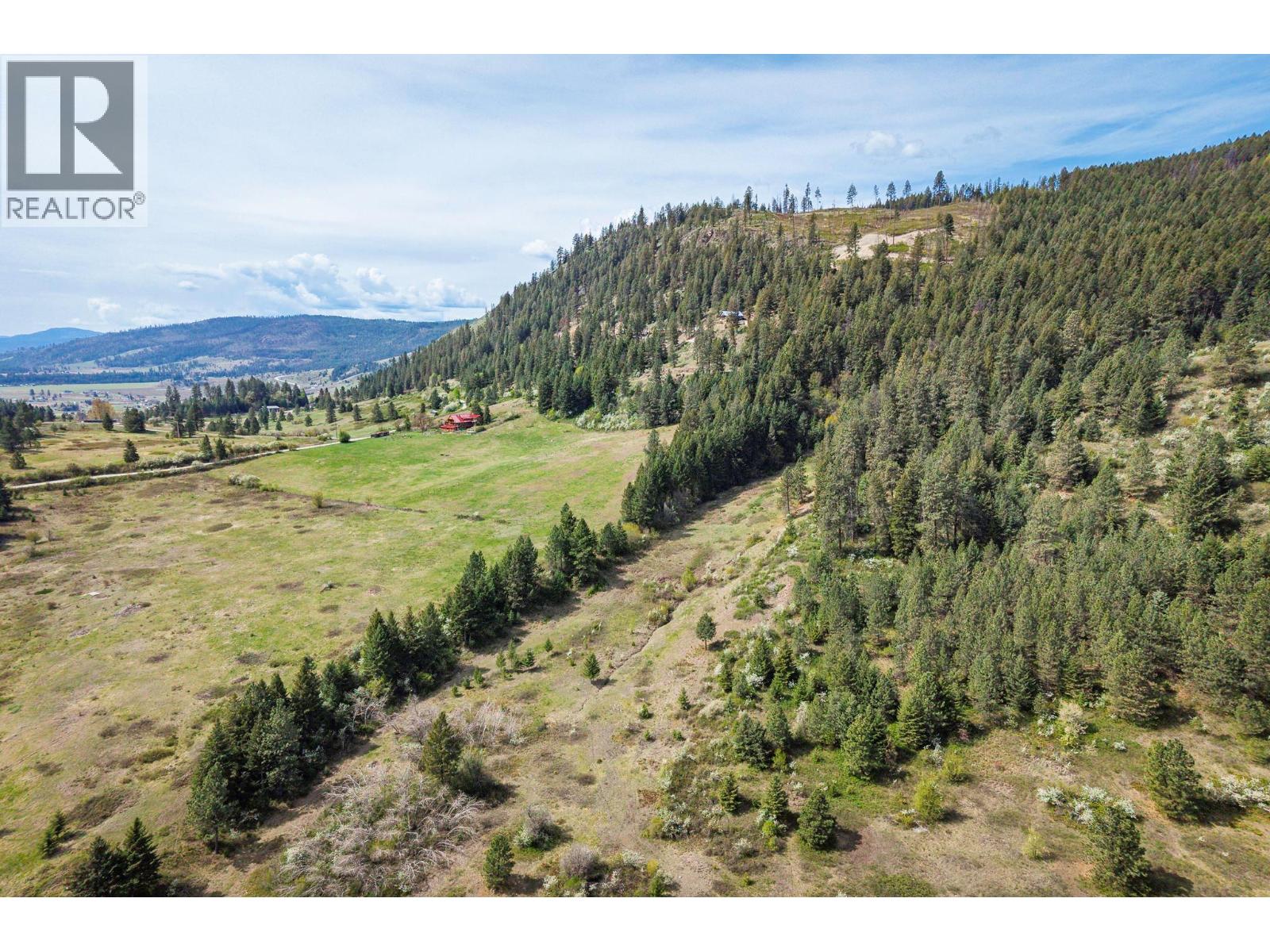 3975 Hardy Mountain Road, Grand Forks, British Columbia  V0A 1H2 - Photo 4 - 10377133