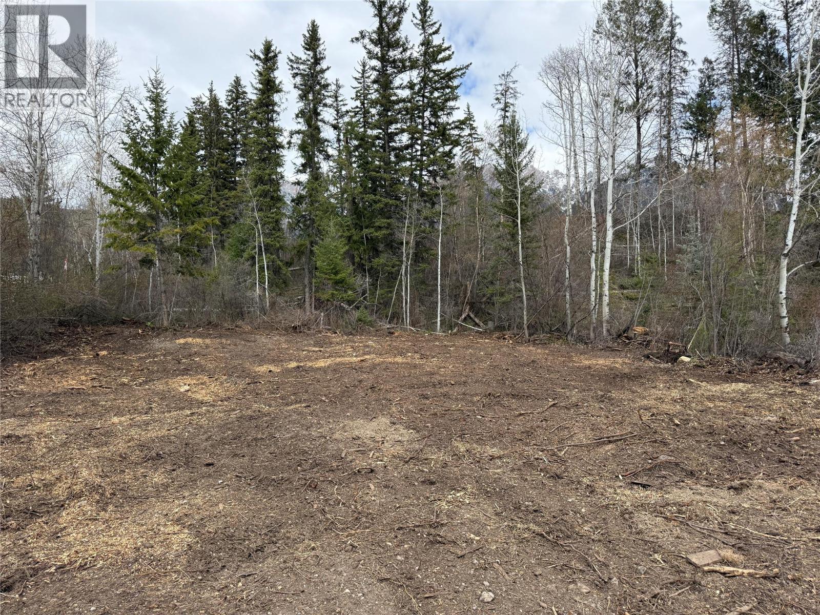 Lot 6 Aspen Grove Place, Fairmont Hot Springs, British Columbia  V0B 1L1 - Photo 12 - 10385219