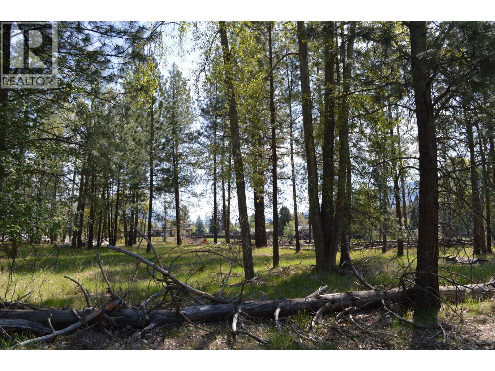 12th Street Lot# 3, Grand Forks, British Columbia  V0H 1H0 - Photo 13 - 10385756