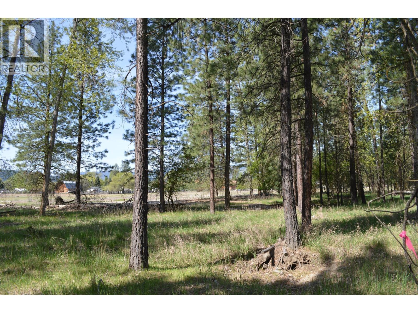 12th Street Lot# 3, Grand Forks, British Columbia  V0H 1H0 - Photo 14 - 10385756
