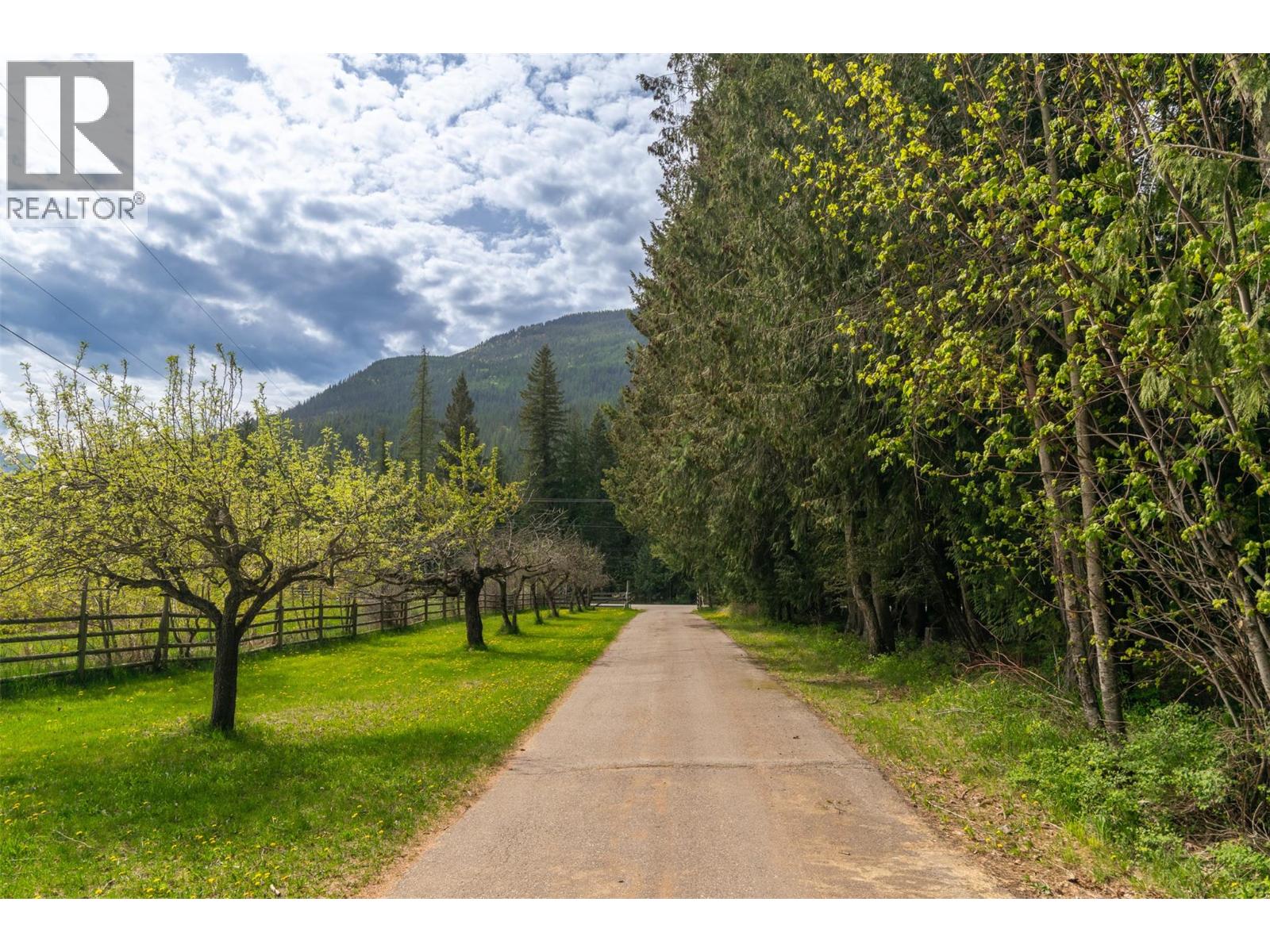741 Enderby Mabel Lake Road, Enderby, British Columbia  V4Y 4K5 - Photo 58 - 10385544