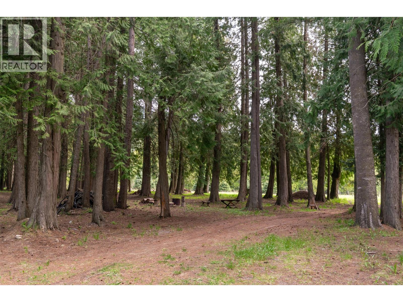 741 Enderby Mabel Lake Road, Enderby, British Columbia  V4Y 4K5 - Photo 62 - 10385544