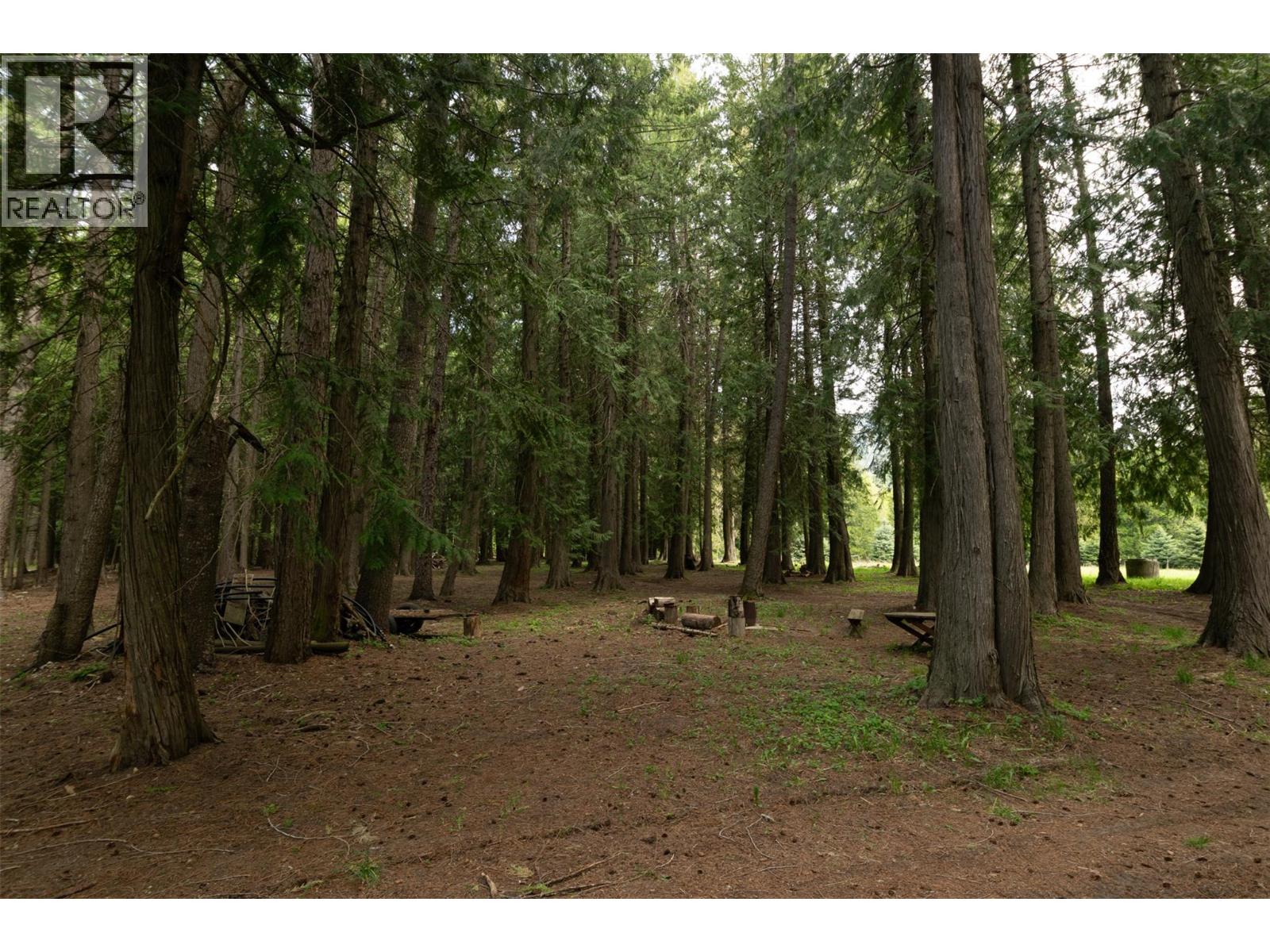 741 Enderby Mabel Lake Road, Enderby, British Columbia  V4Y 4K5 - Photo 63 - 10385544