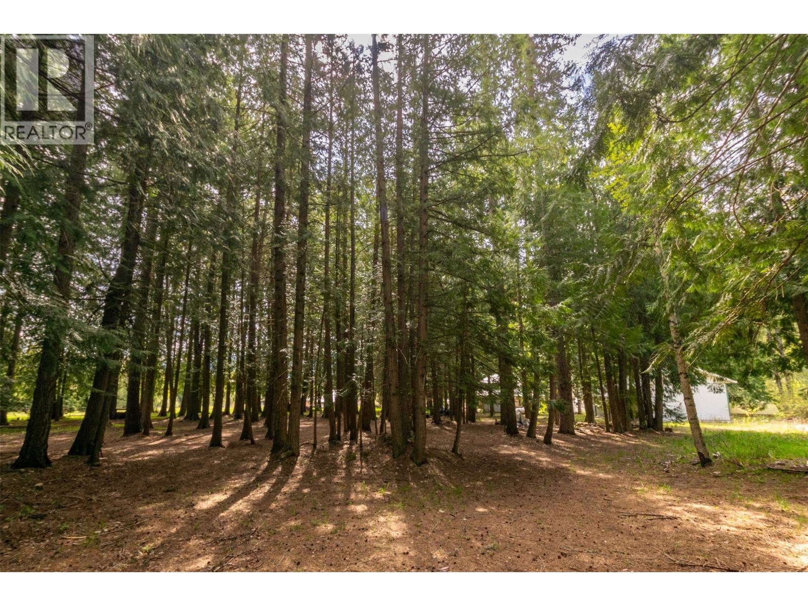 741 Enderby Mabel Lake Road, Enderby, British Columbia  V4Y 4K5 - Photo 68 - 10385544