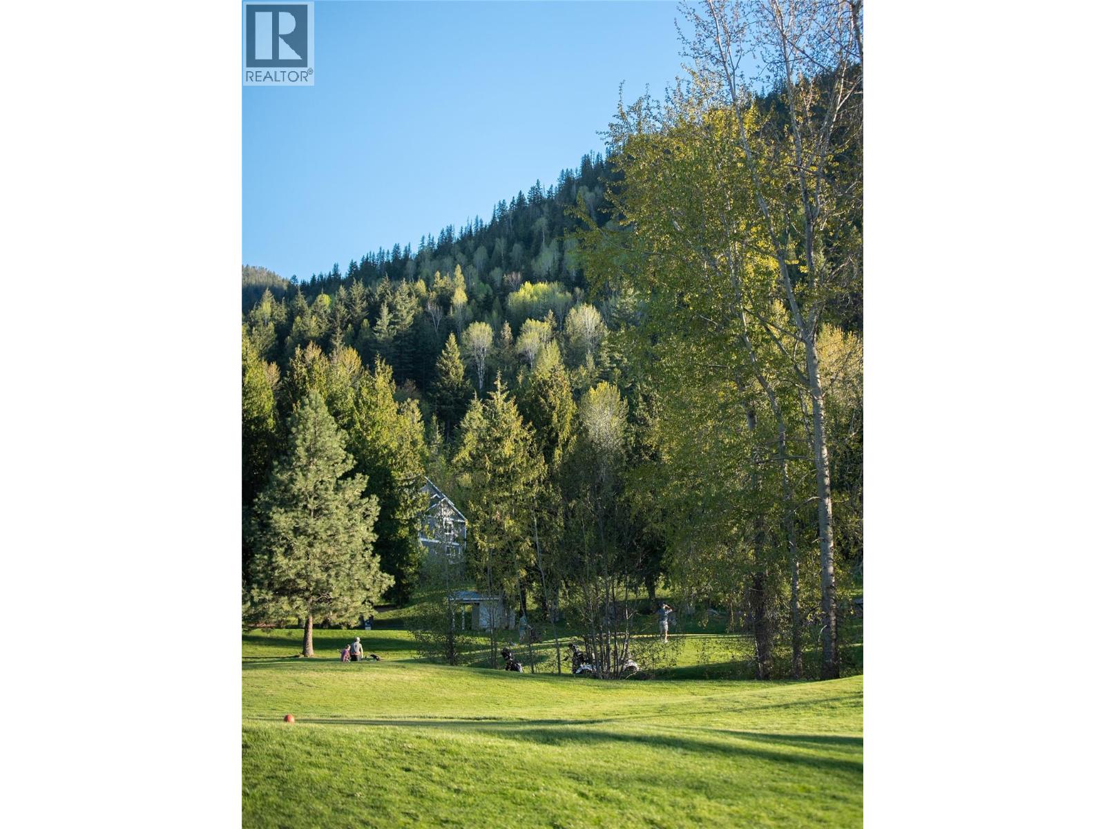 1901 Choquette Avenue Unit# 404, Nelson, British Columbia  V1L 7B8 - Photo 59 - 10385838
