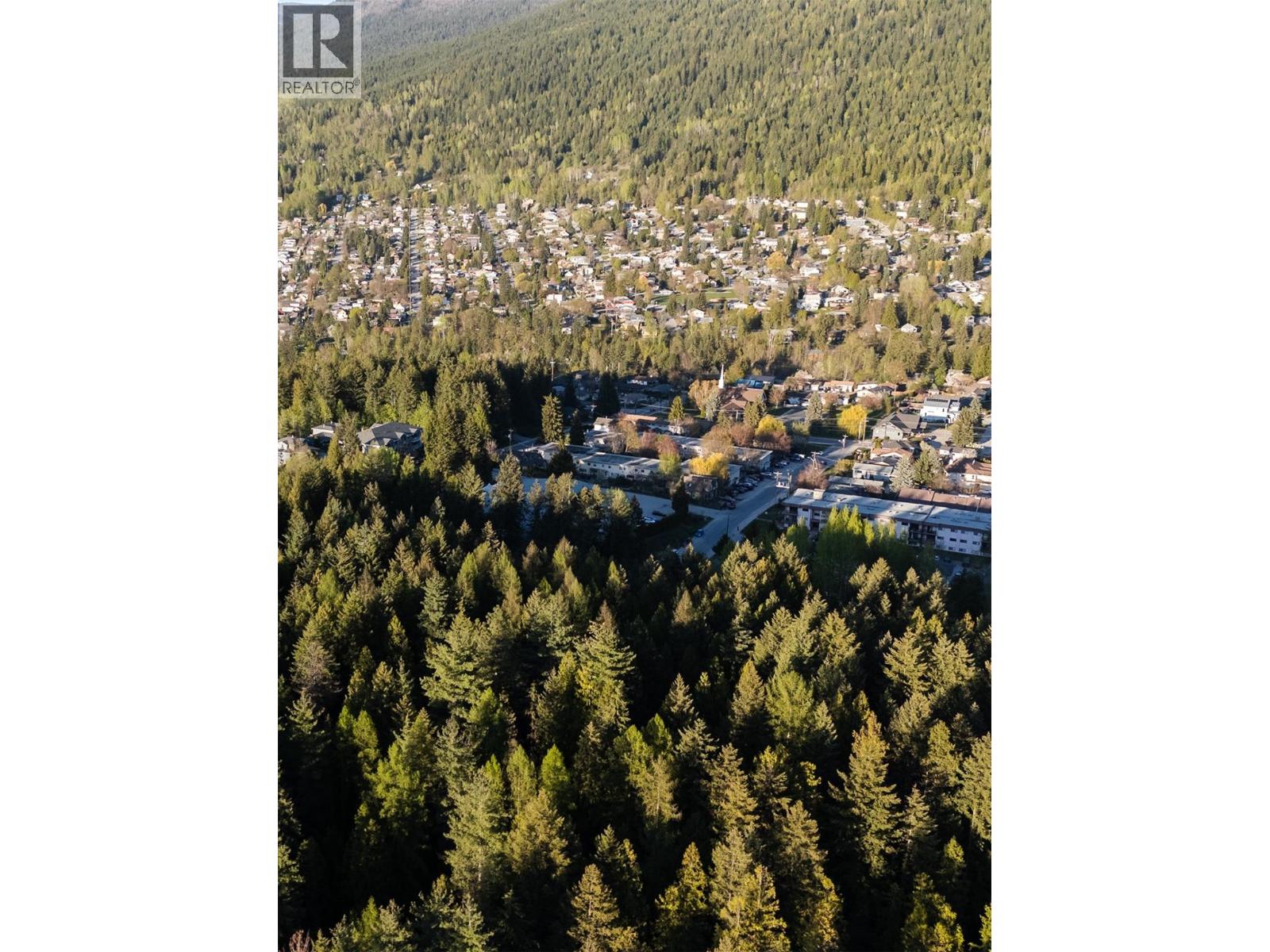 1901 Choquette Avenue Unit# 404, Nelson, British Columbia  V1L 7B8 - Photo 60 - 10385838