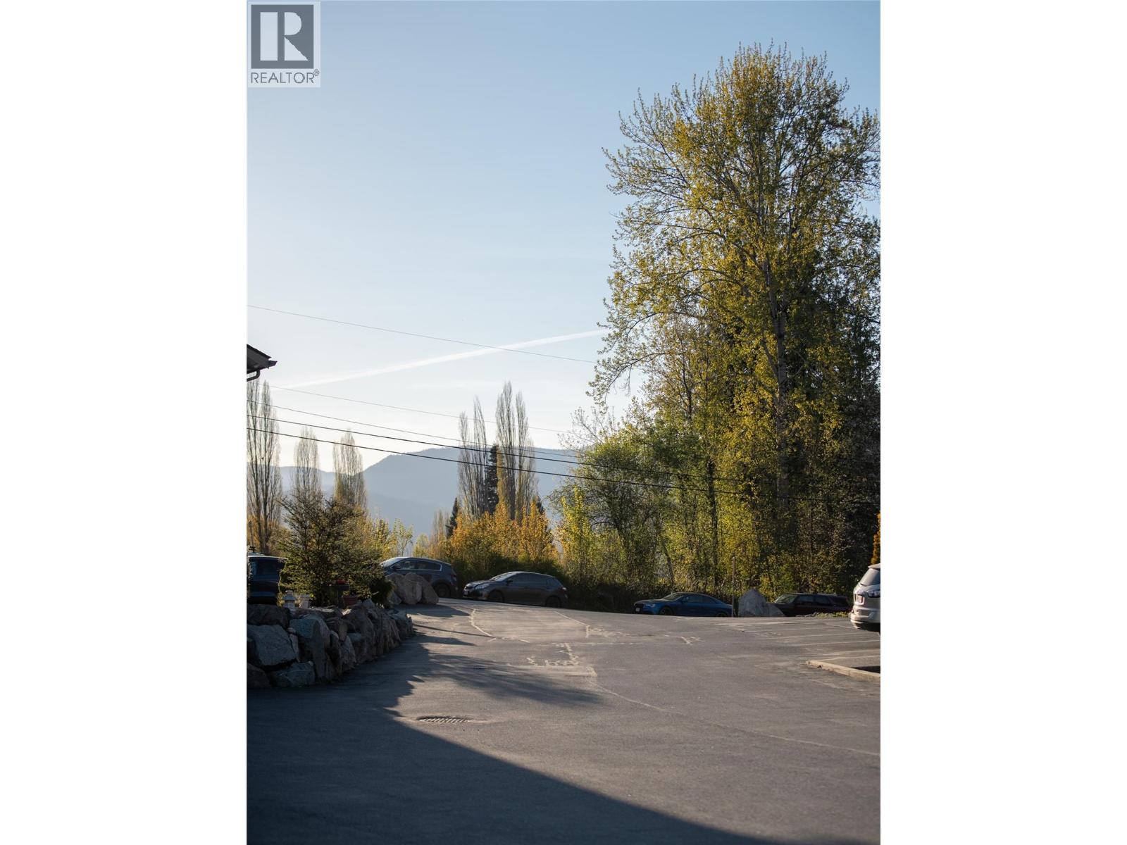 1901 Choquette Avenue Unit# 404, Nelson, British Columbia  V1L 7B8 - Photo 63 - 10385838