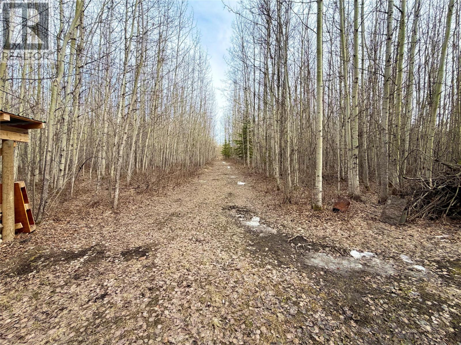 16589 203 Road, Dawson Creek, British Columbia  V0C 2L0 - Photo 64 - 10385971