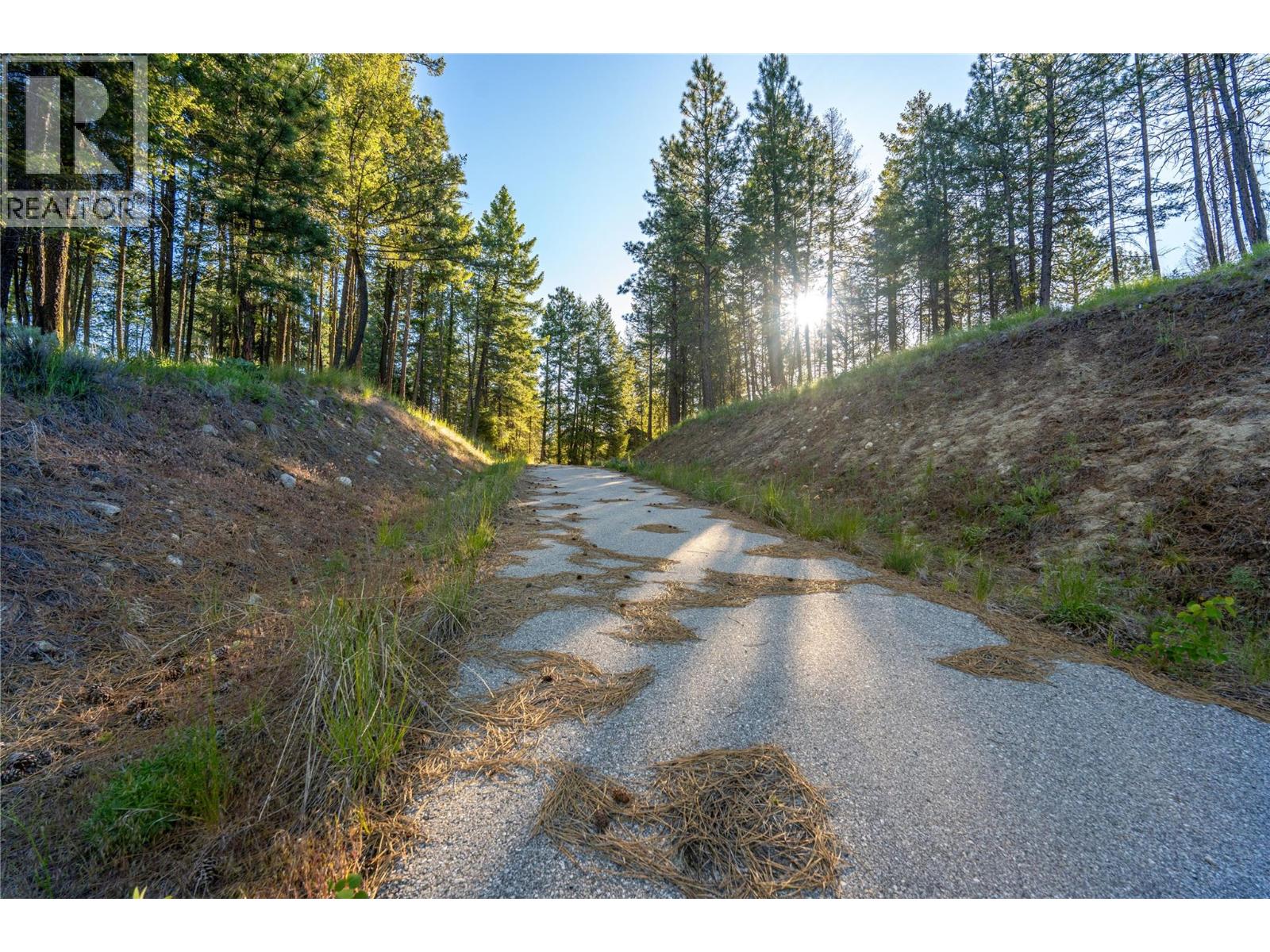 375 Grizzly Place, Osoyoos, British Columbia  V0H 1V6 - Photo 4 - 10386021