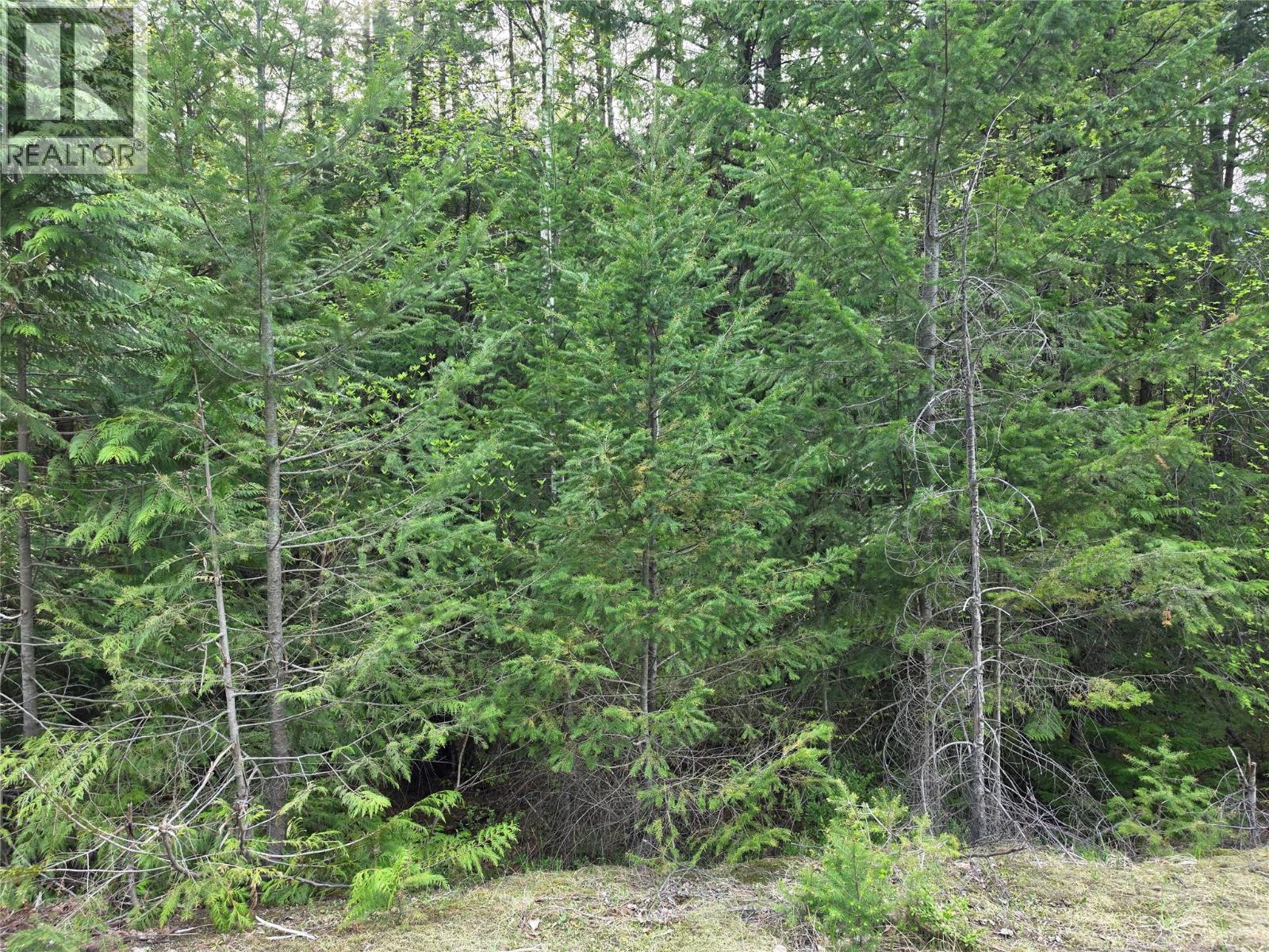6 Highway, Slocan, British Columbia  V0G 2C0 - Photo 1 - 10385981