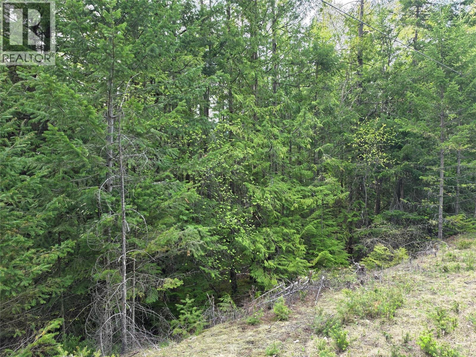 6 Highway, Slocan, British Columbia  V0G 2C0 - Photo 5 - 10385981