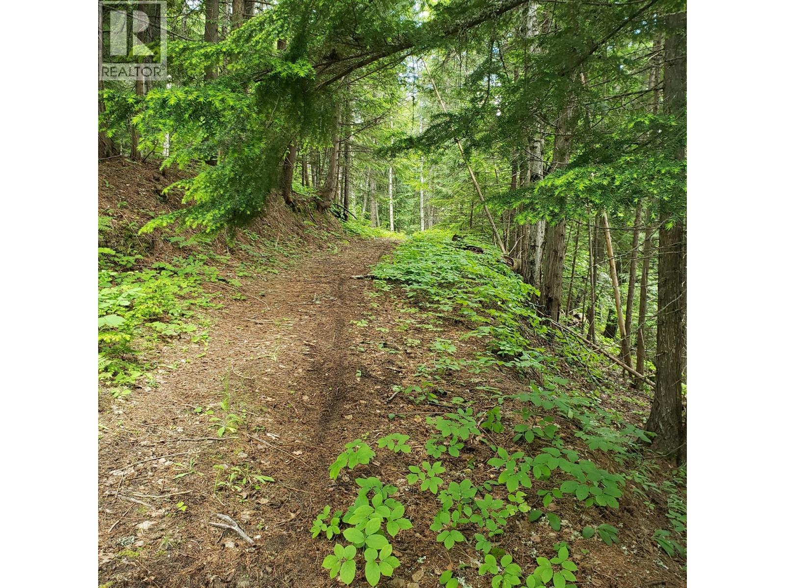 2660 Shoreacres-Goose Creek Road, Shoreacres, British Columbia  V1N 4P4 - Photo 58 - 10385974