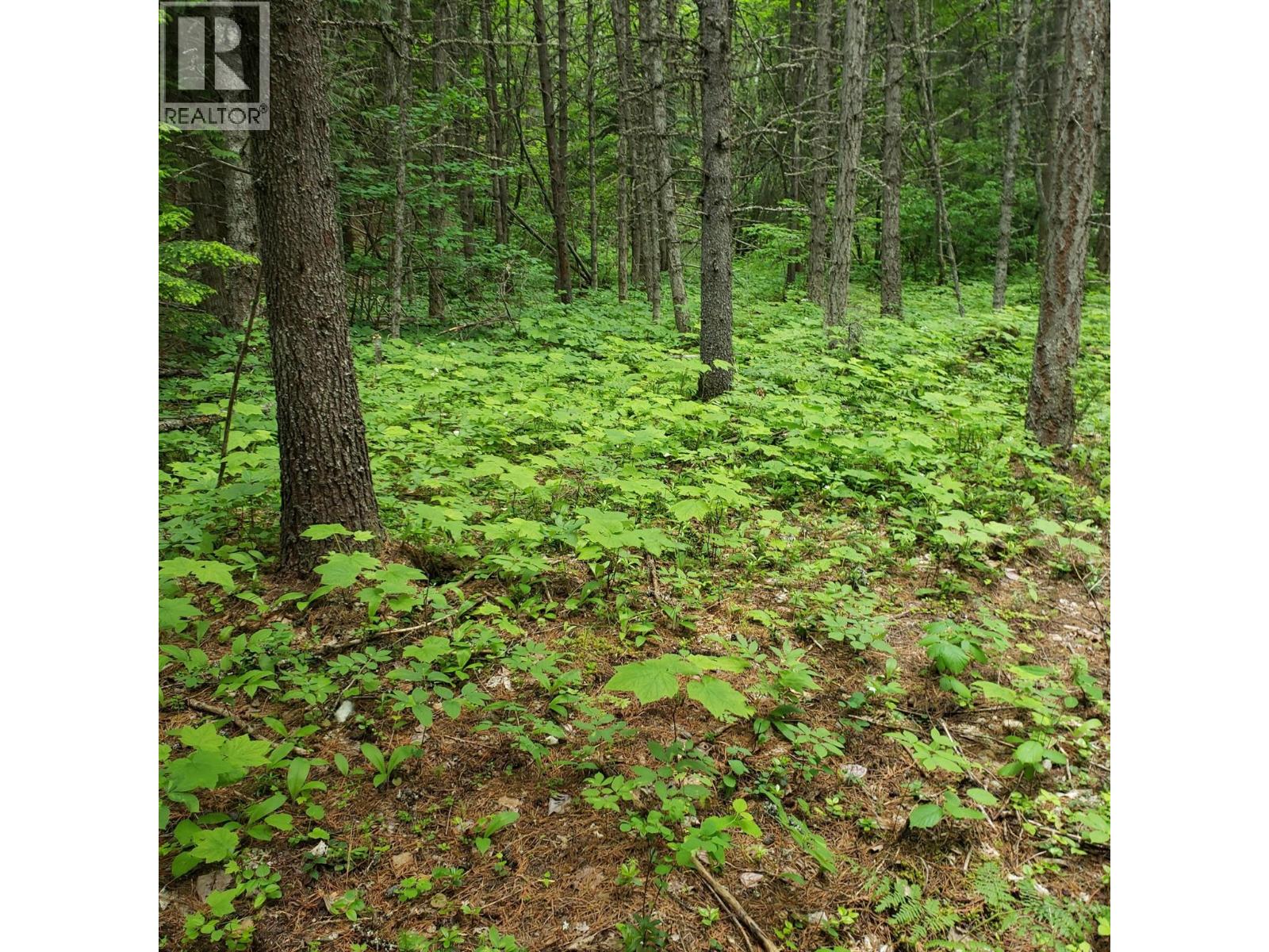 2660 Shoreacres-Goose Creek Road, Shoreacres, British Columbia  V1N 4P4 - Photo 59 - 10385974