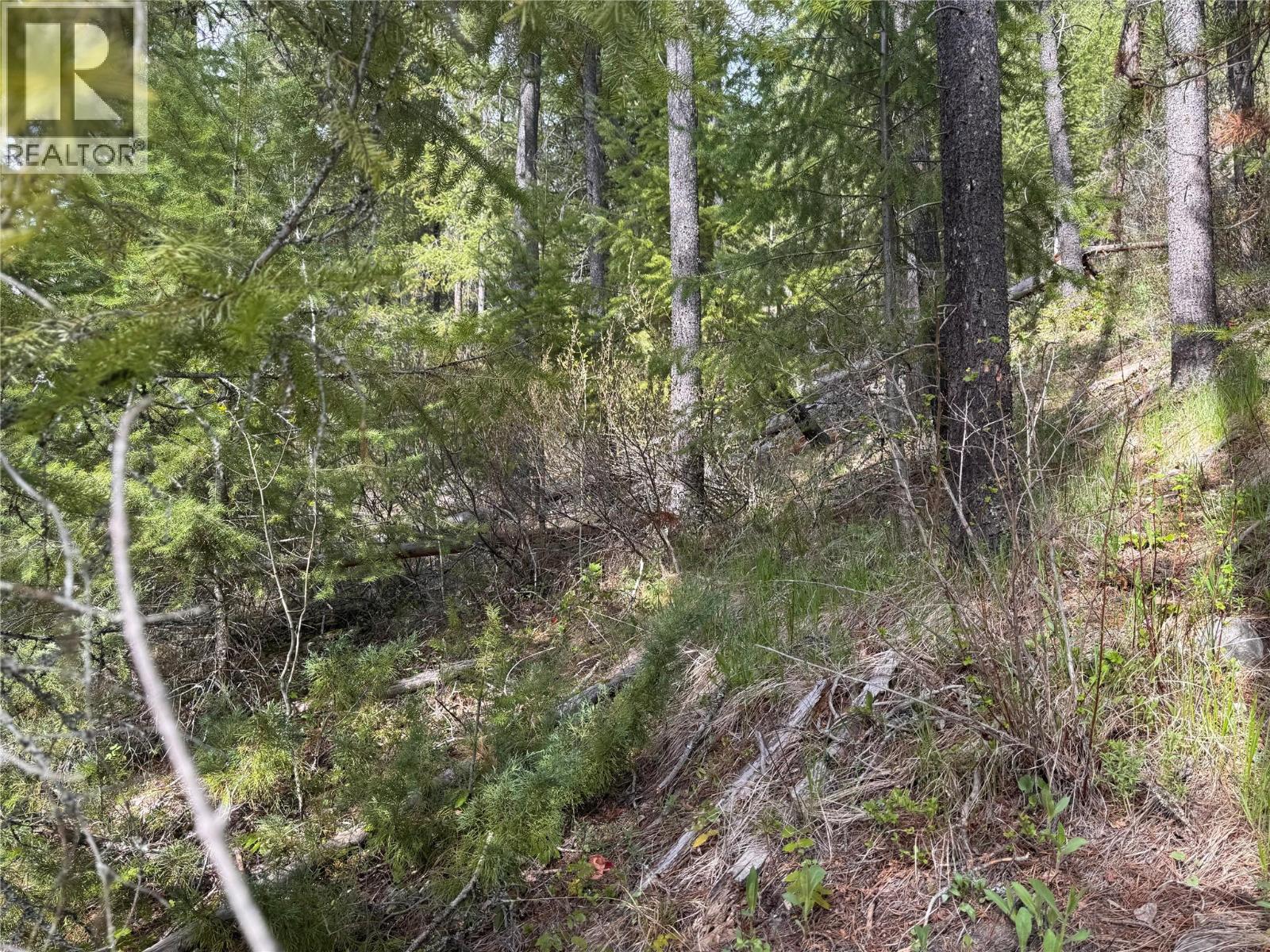 452 Ponderosa Avenue, Greenwood, British Columbia  V0H 1J0 - Photo 4 - 10386031