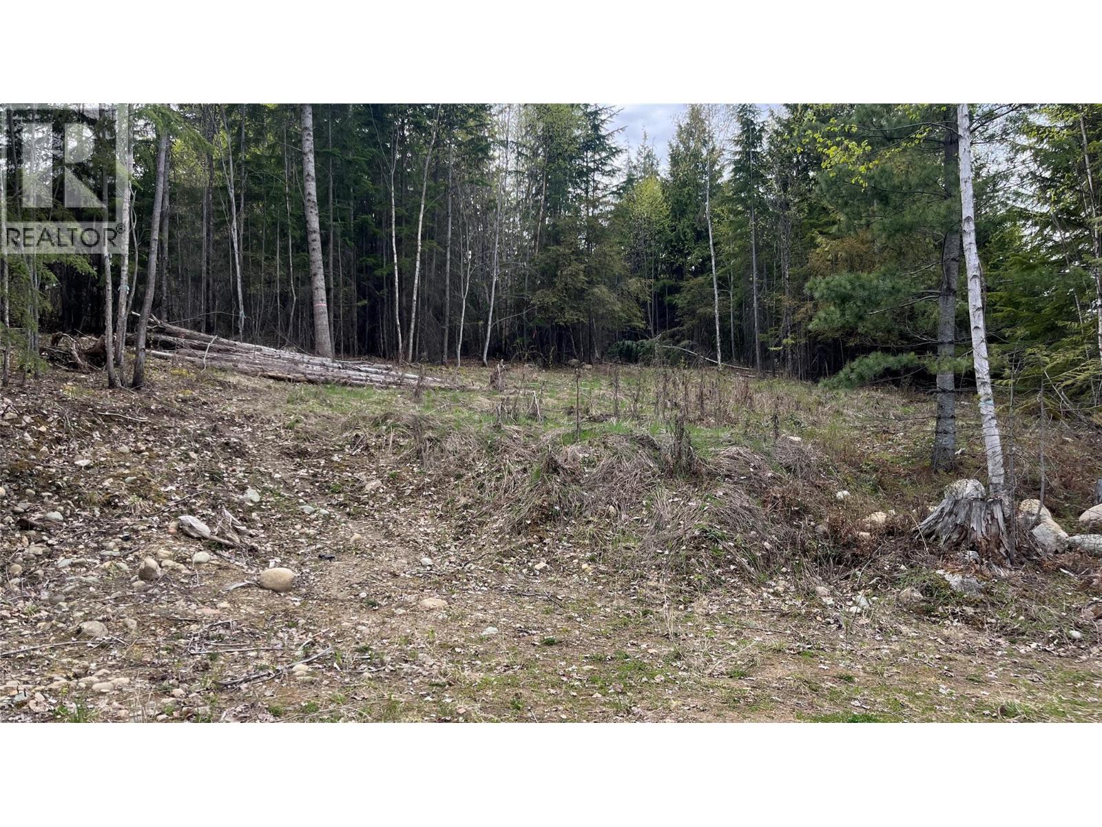 Lot 2 Balfour Avenue, Kaslo, British Columbia  V0G 1M0 - Photo 2 - 10385065