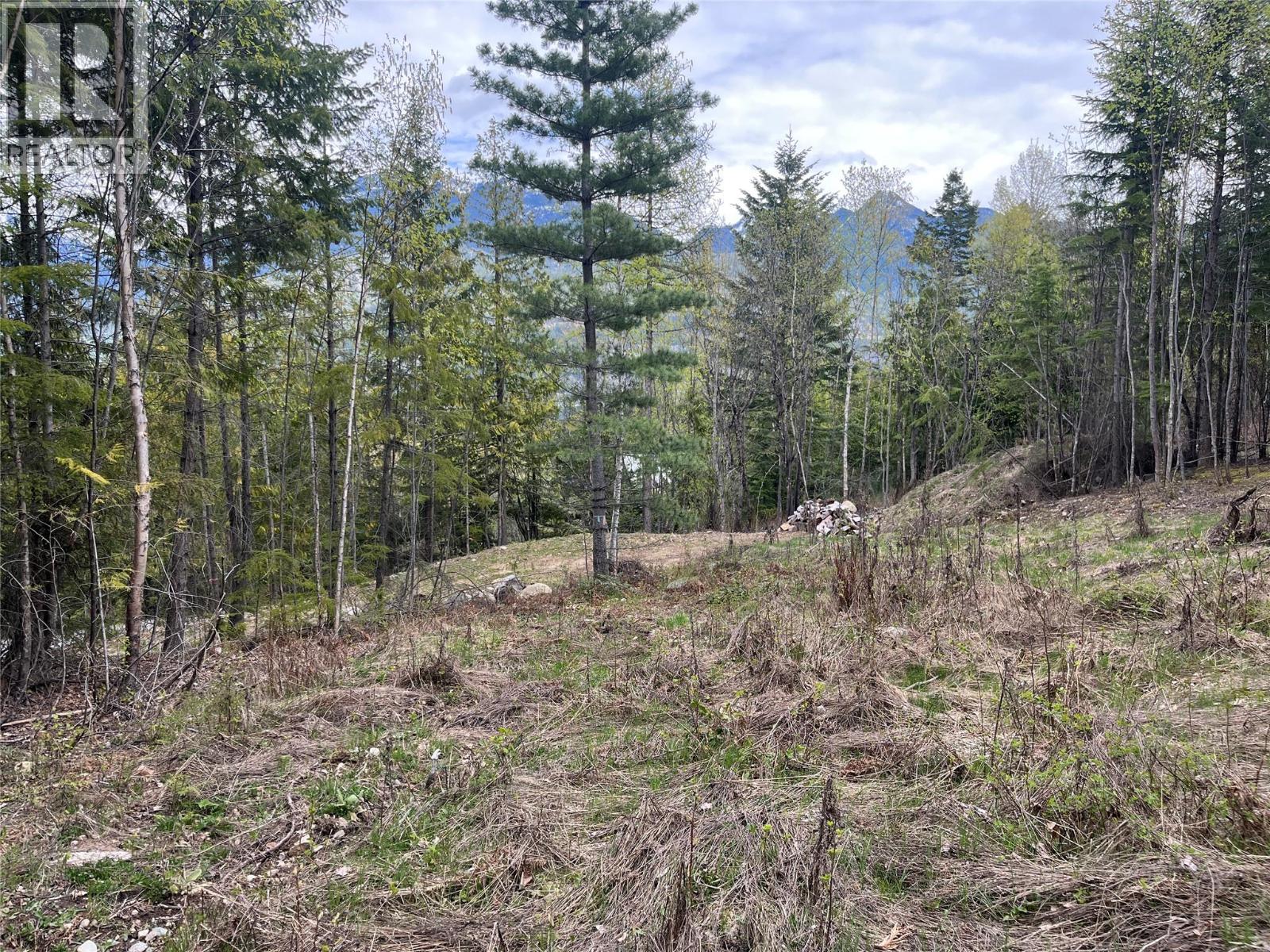 Lot 2 Balfour Avenue, Kaslo, British Columbia  V0G 1M0 - Photo 4 - 10385065