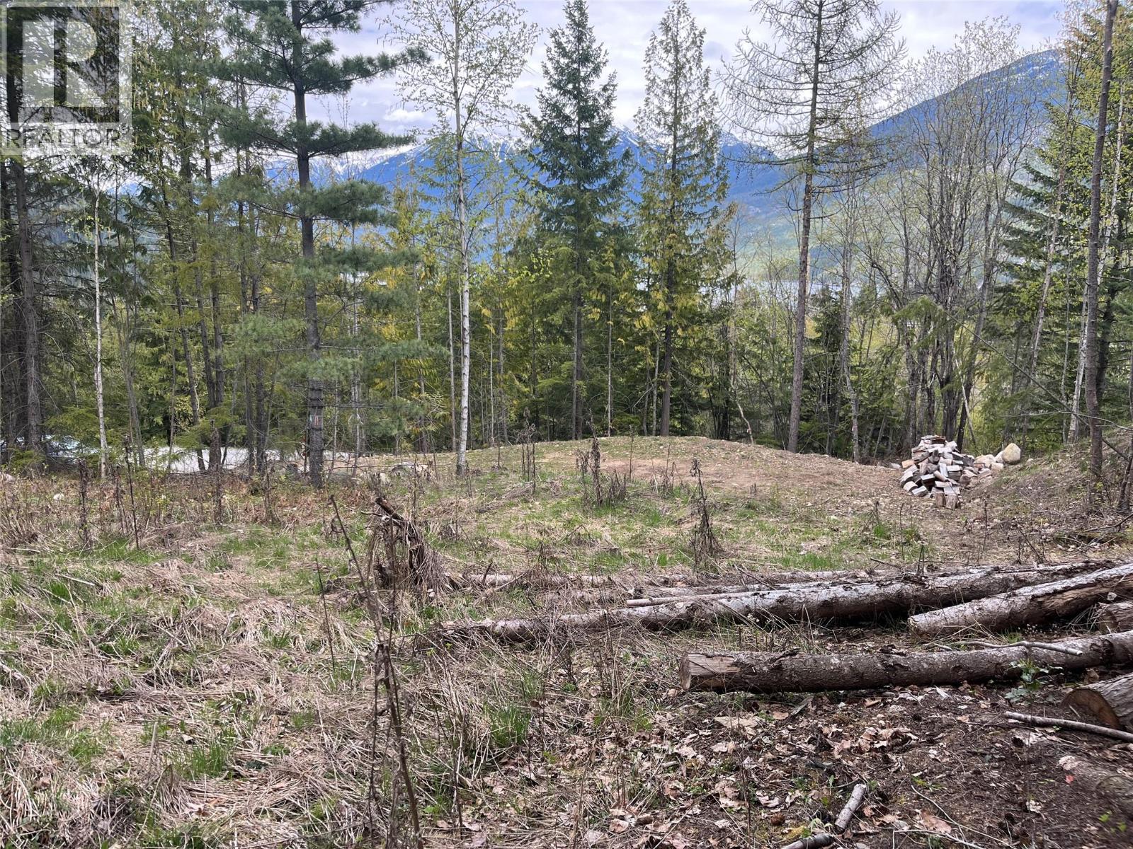 Lot 2 Balfour Avenue, Kaslo, British Columbia  V0G 1M0 - Photo 5 - 10385065