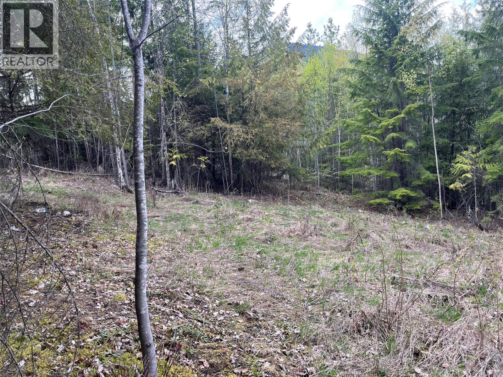 Lot 2 Balfour Avenue, Kaslo, British Columbia  V0G 1M0 - Photo 6 - 10385065