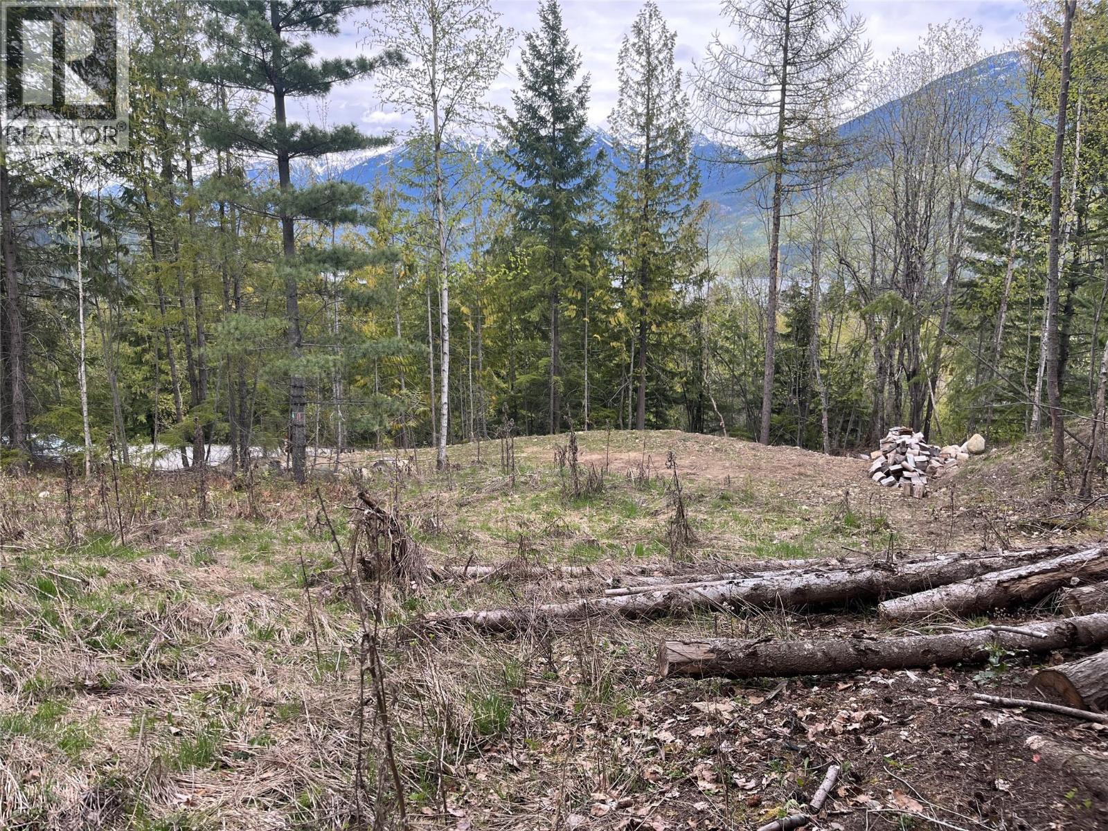 Lot 2 Balfour Avenue, Kaslo, British Columbia  V0G 1M0 - Photo 7 - 10385065