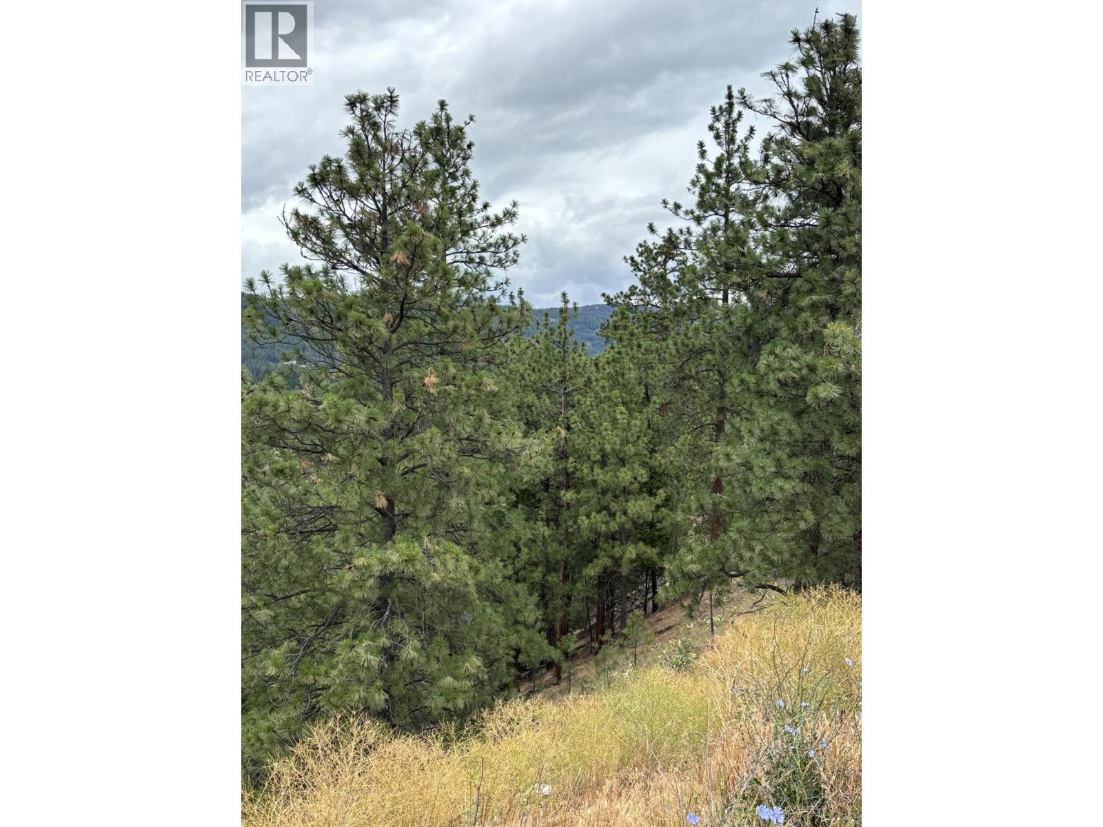 Glencoe Road Lot# 64, West Kelowna, British Columbia  V4T 1L9 - Photo 12 - 10386106