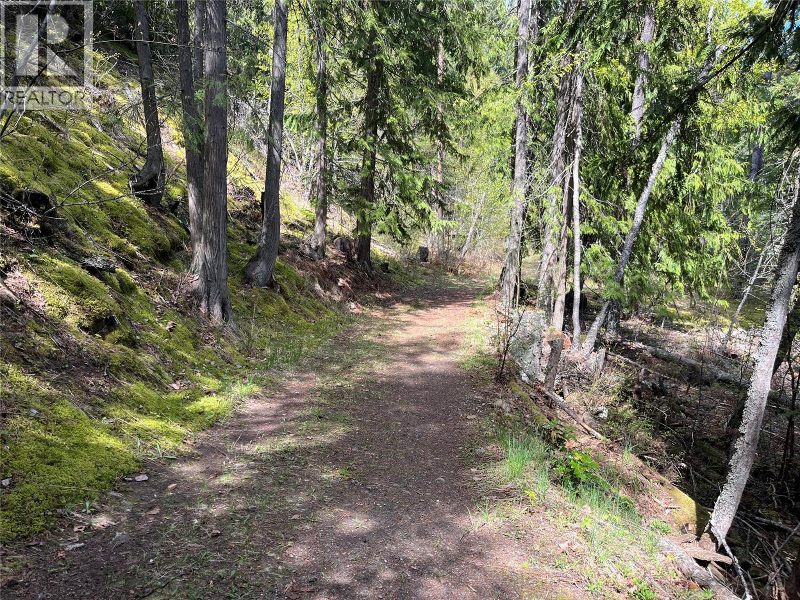 5864 Morgan Drive, Kaslo, British Columbia  V0G 1M0 - Photo 22 - 10385415