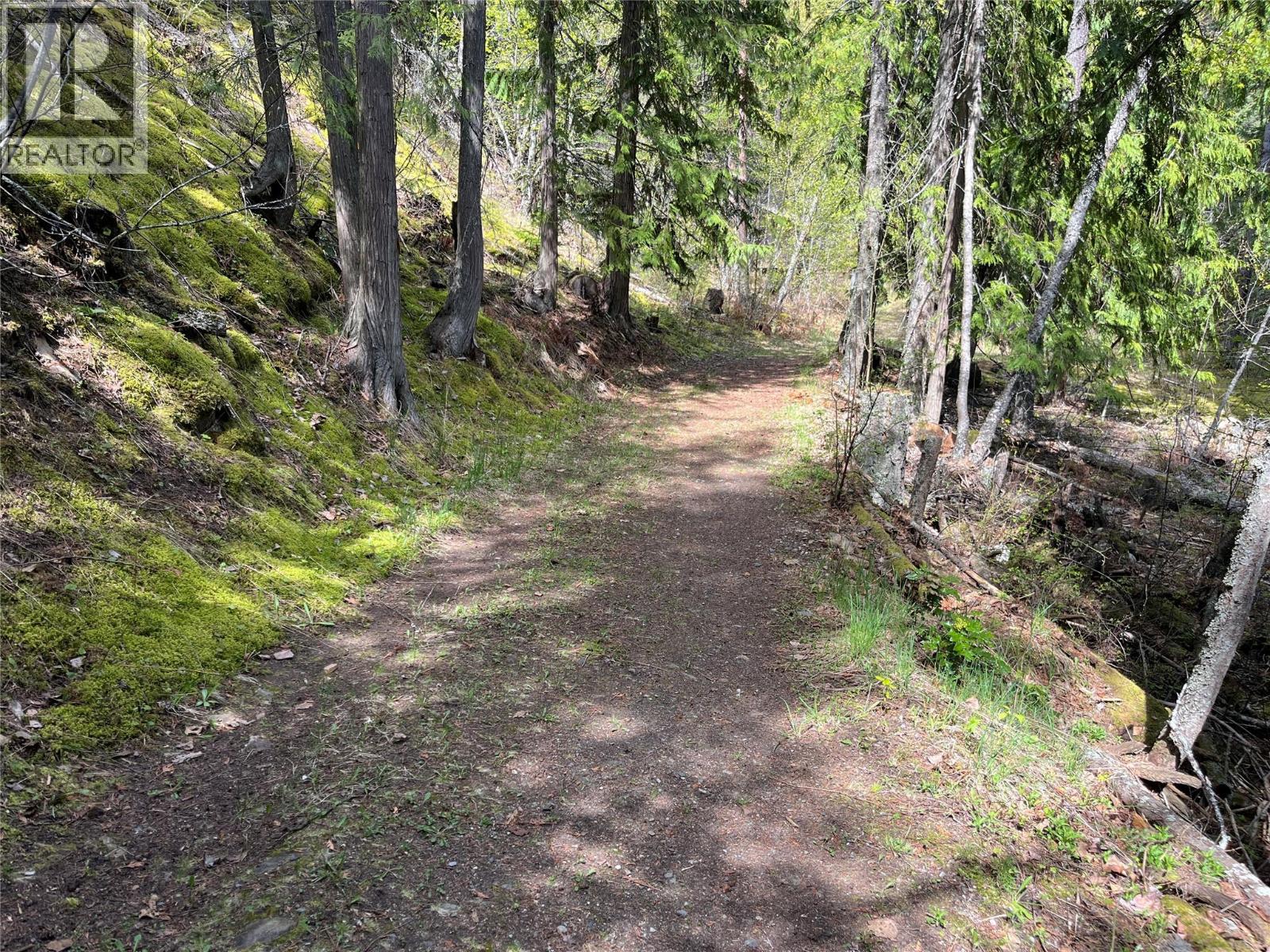 5864 Morgan Drive, Kaslo, British Columbia  V0G 1M0 - Photo 23 - 10385415