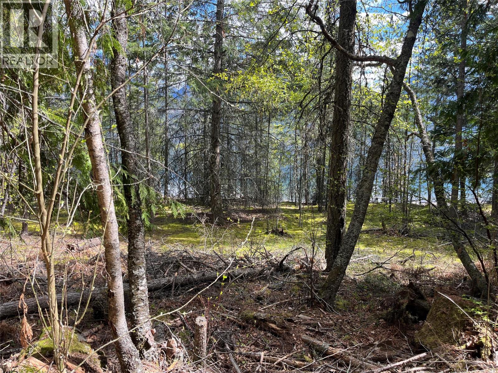 5864 Morgan Drive, Kaslo, British Columbia  V0G 1M0 - Photo 24 - 10385415