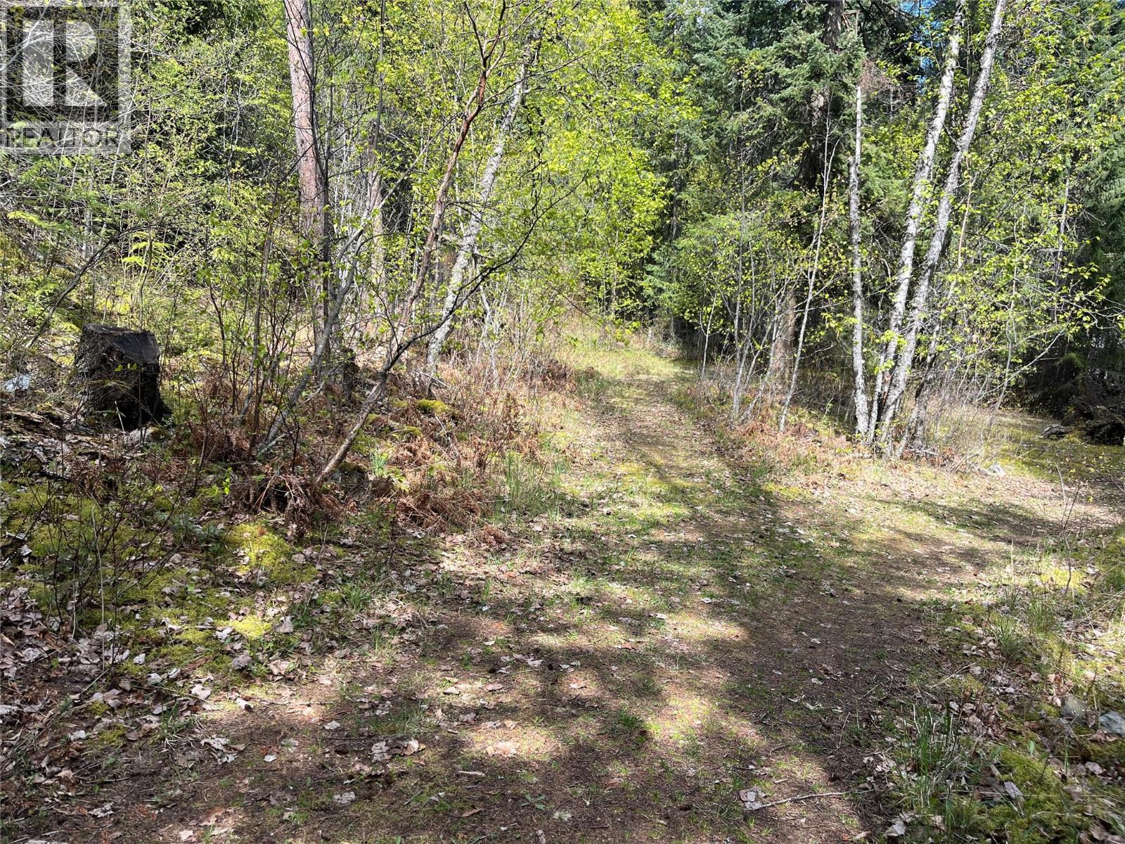 5864 Morgan Drive, Kaslo, British Columbia  V0G 1M0 - Photo 25 - 10385415
