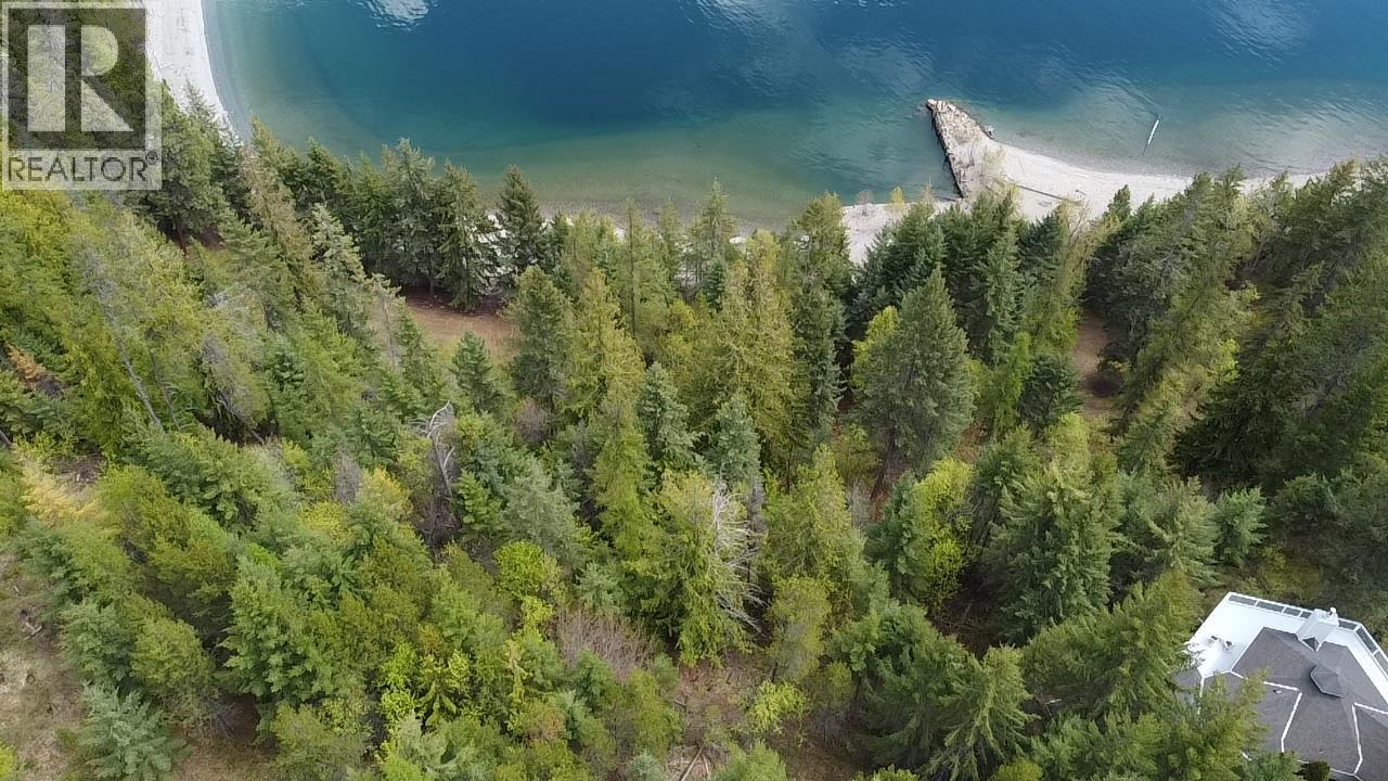 5864 Morgan Drive, Kaslo, British Columbia  V0G 1M0 - Photo 4 - 10385415