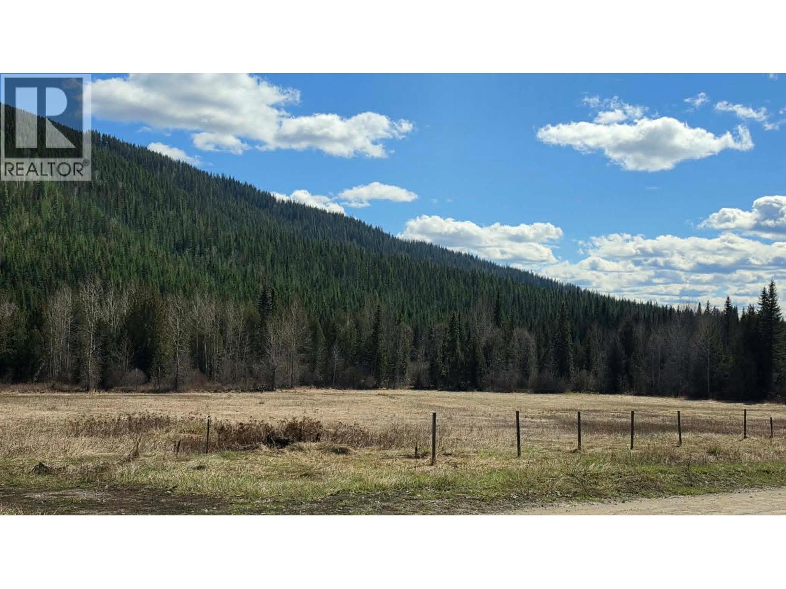 829 Bobbie Burns Road, Lumby, British Columbia  V0E 2G4 - Photo 24 - 10386023