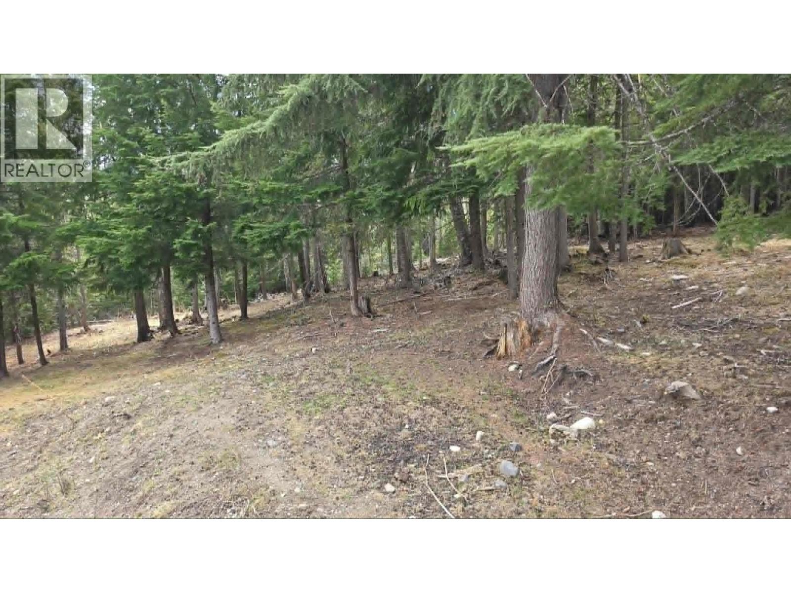 829 Bobbie Burns Road, Lumby, British Columbia  V0E 2G4 - Photo 28 - 10386023