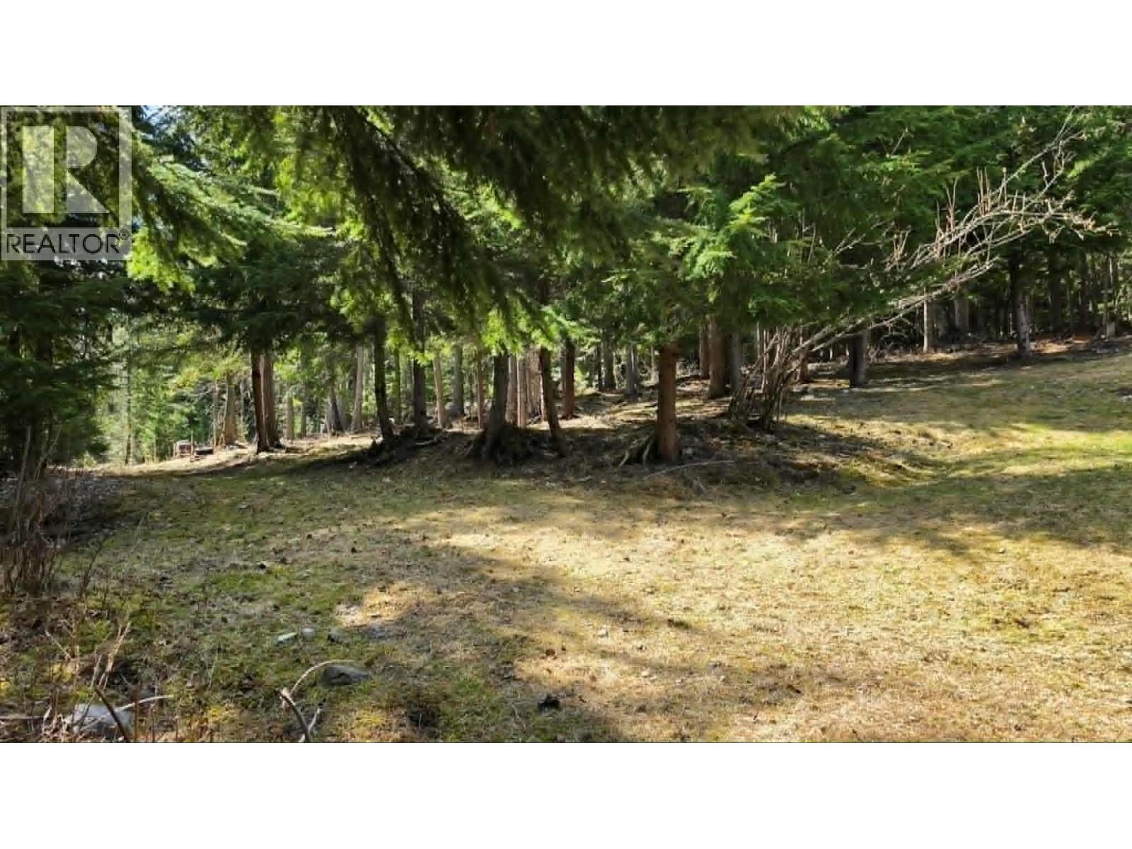829 Bobbie Burns Road, Lumby, British Columbia  V0E 2G4 - Photo 40 - 10386023