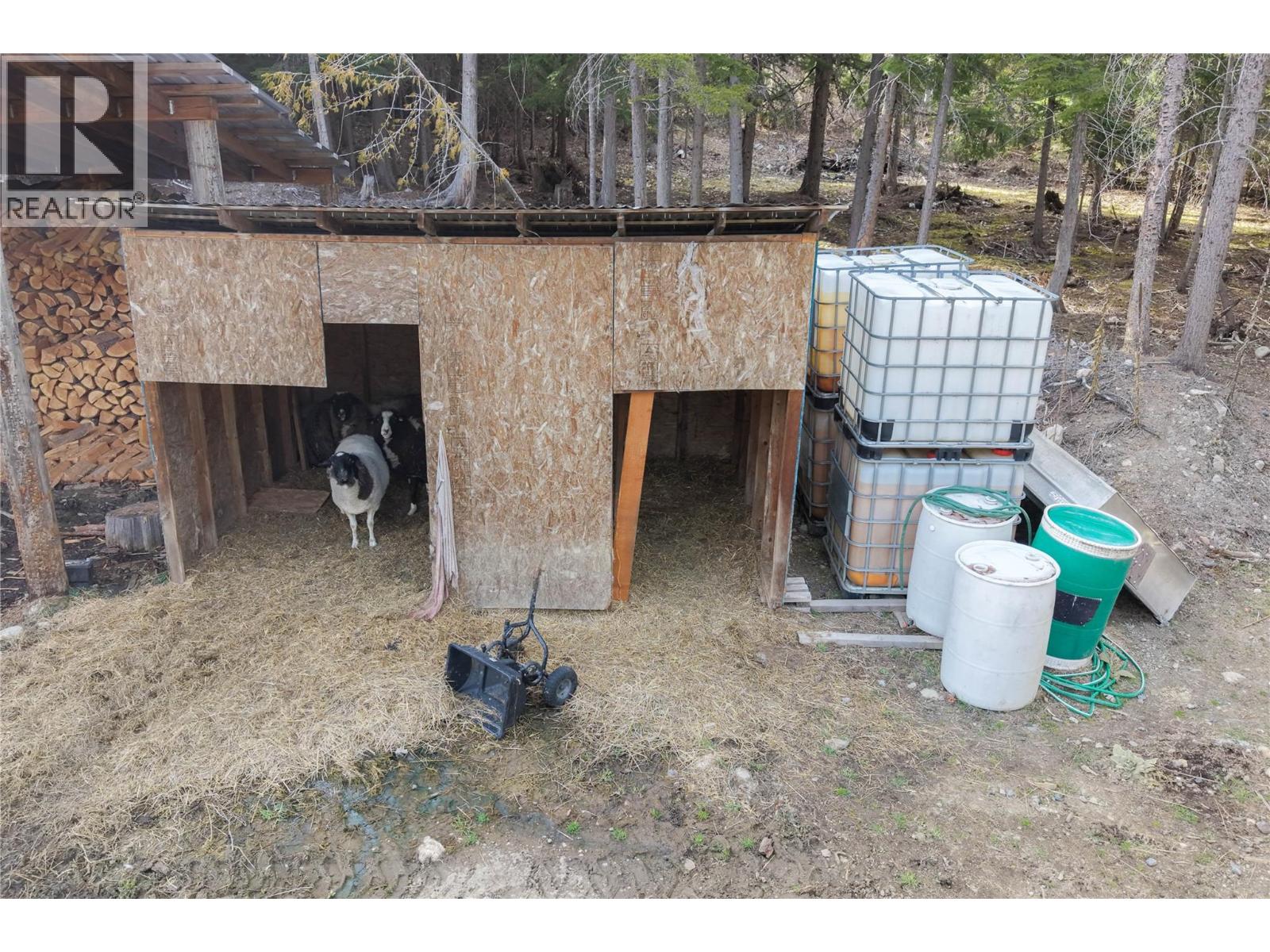 829 Bobbie Burns Road, Lumby, British Columbia  V0E 2G4 - Photo 58 - 10386023