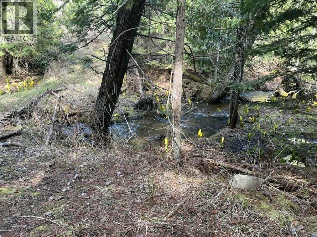 1325 Lakeview Arrow Creek Road, Creston, British Columbia  V0B 1G9 - Photo 31 - 10386314